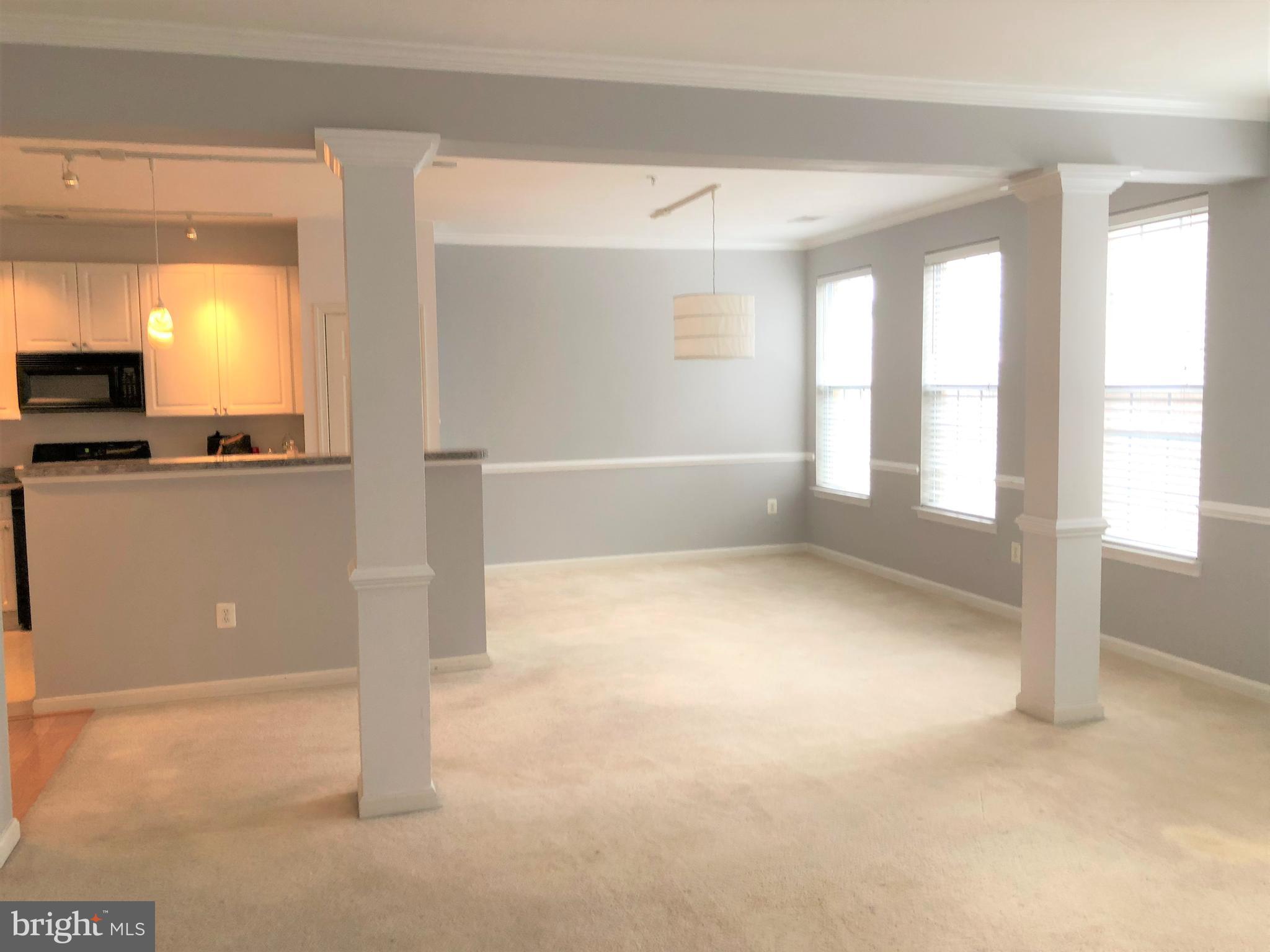 2651 PARK TOWER DRIVE 305
