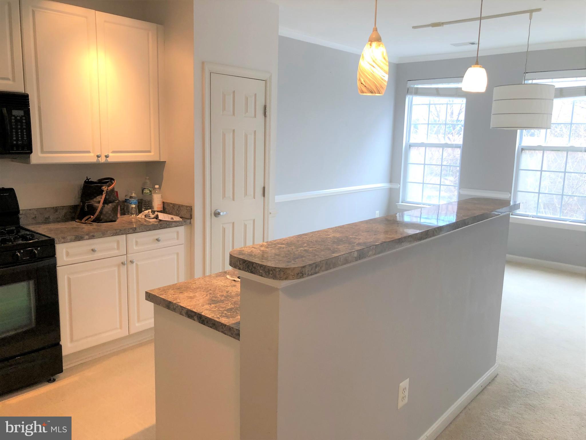 2651 PARK TOWER DRIVE 305