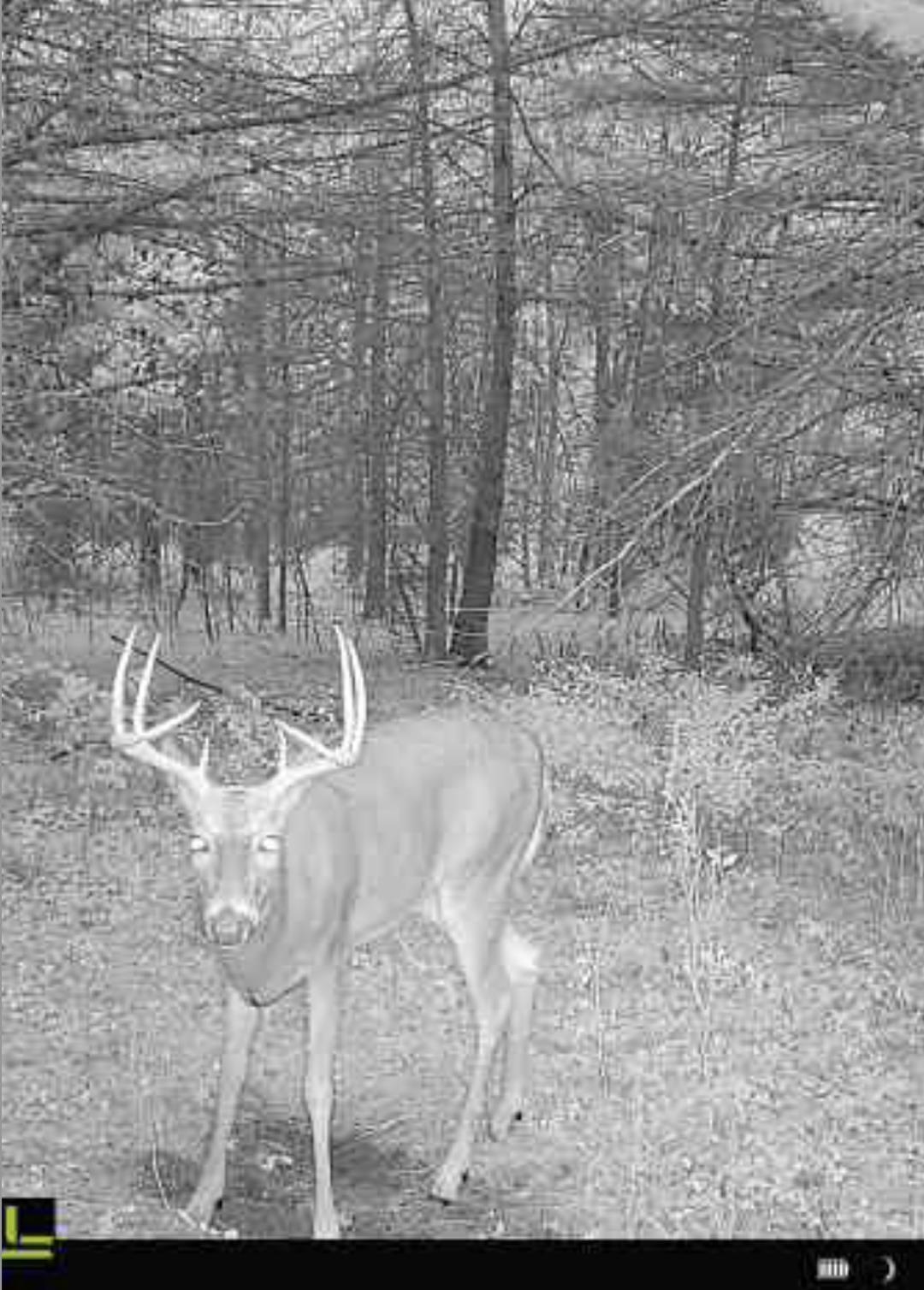 115.5 Ac Highway 23