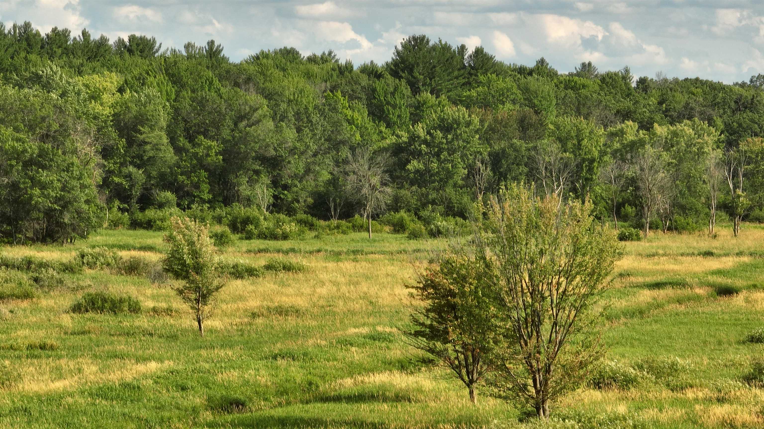 115.5 Ac Highway 23