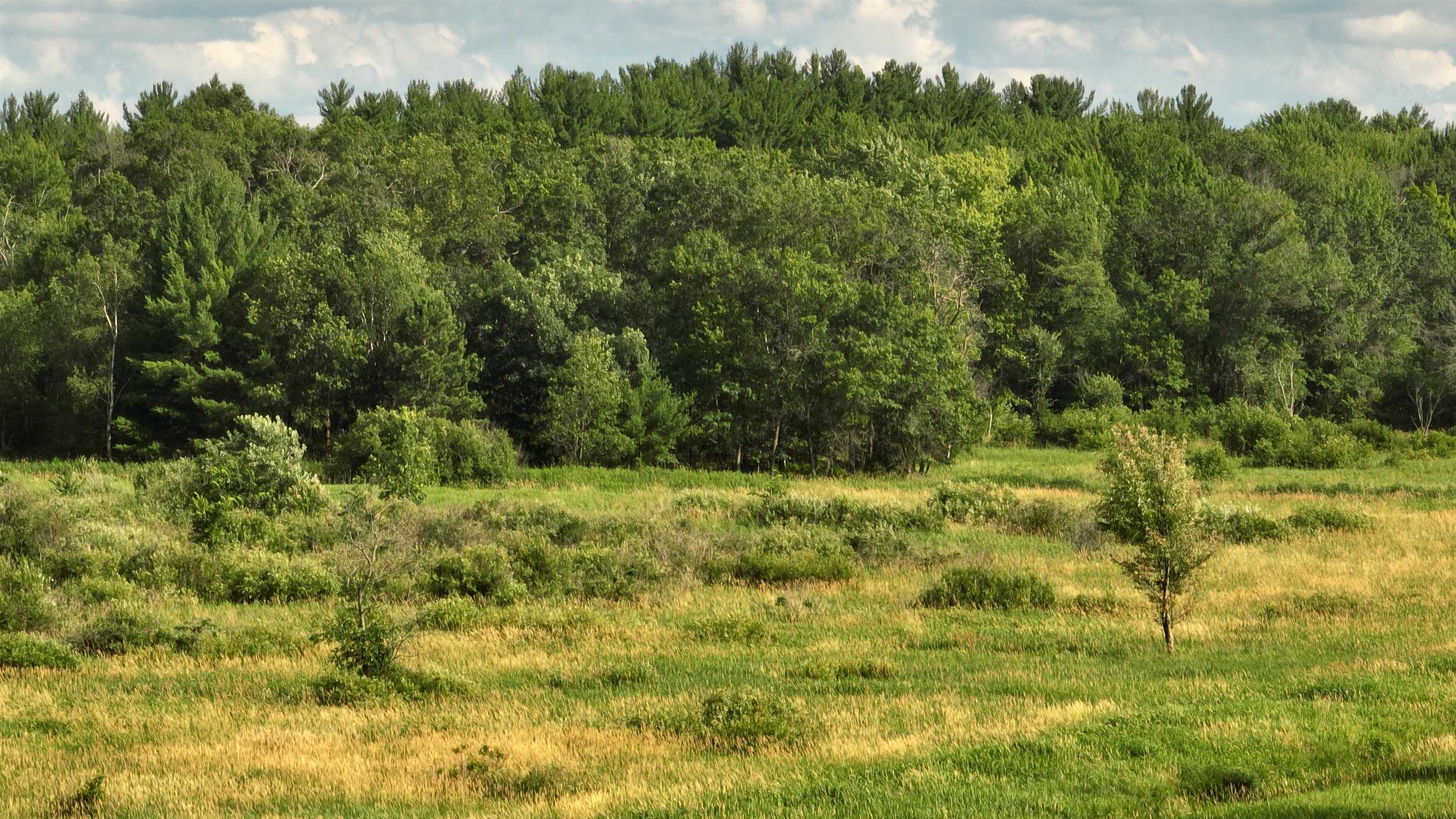 115.5 Ac Highway 23