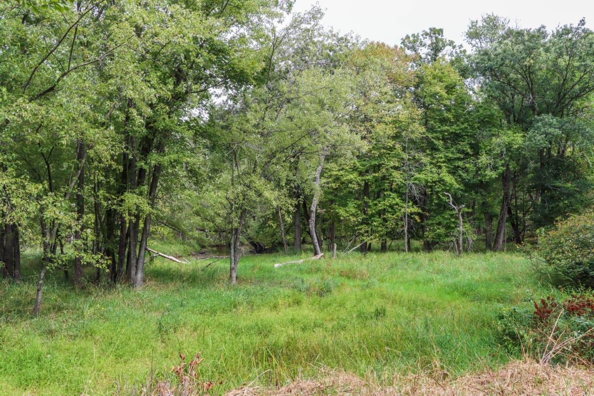W1198 Highway 23