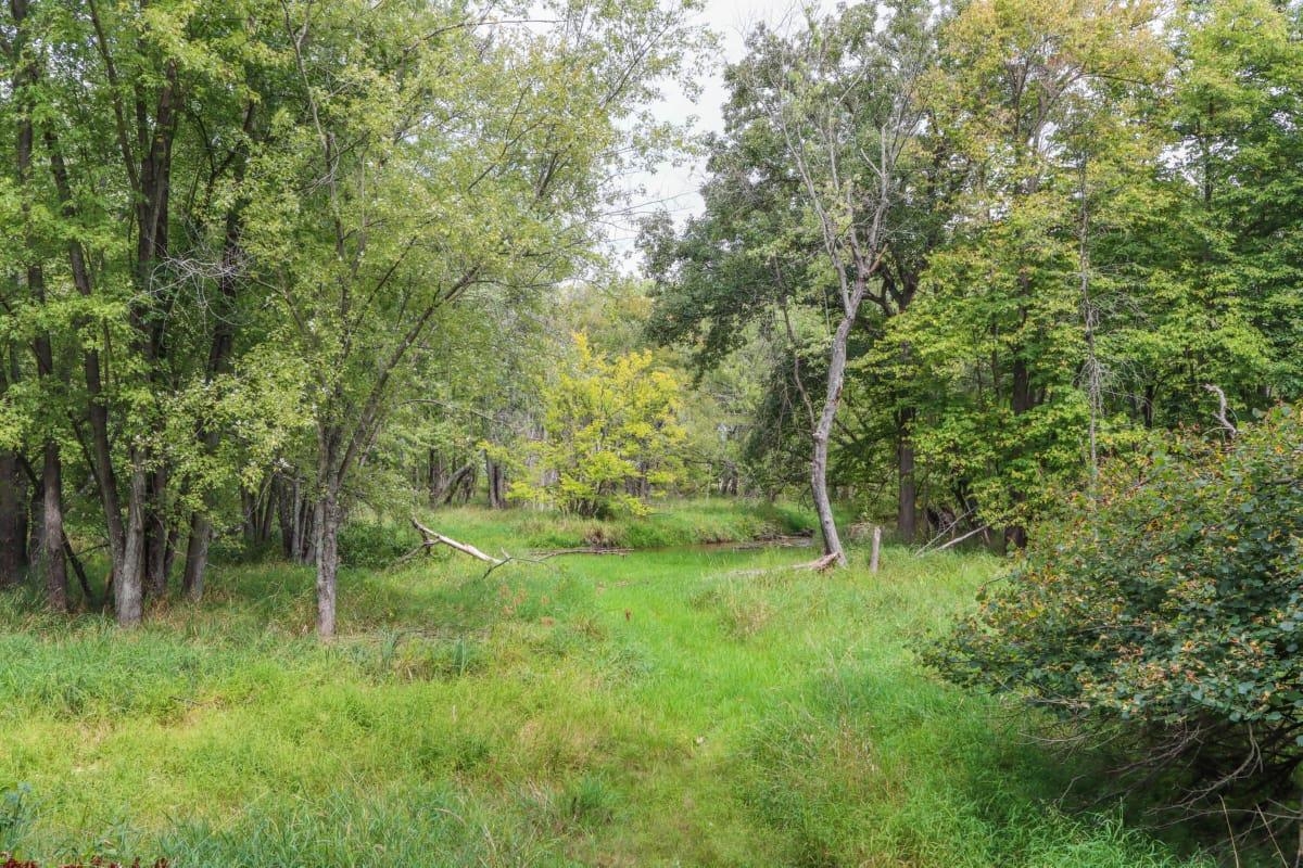 W1198 Highway 23