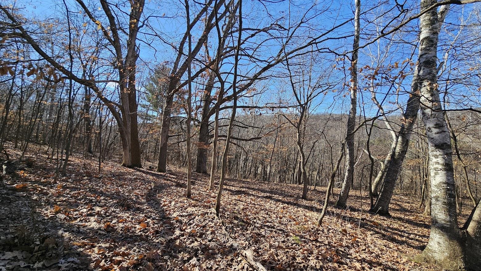 22128 County Road DD