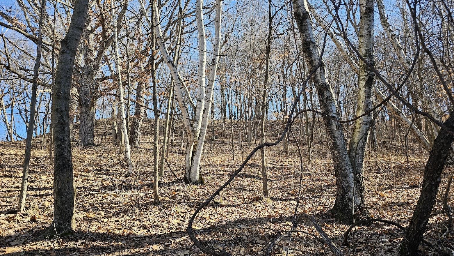 22128 County Road DD