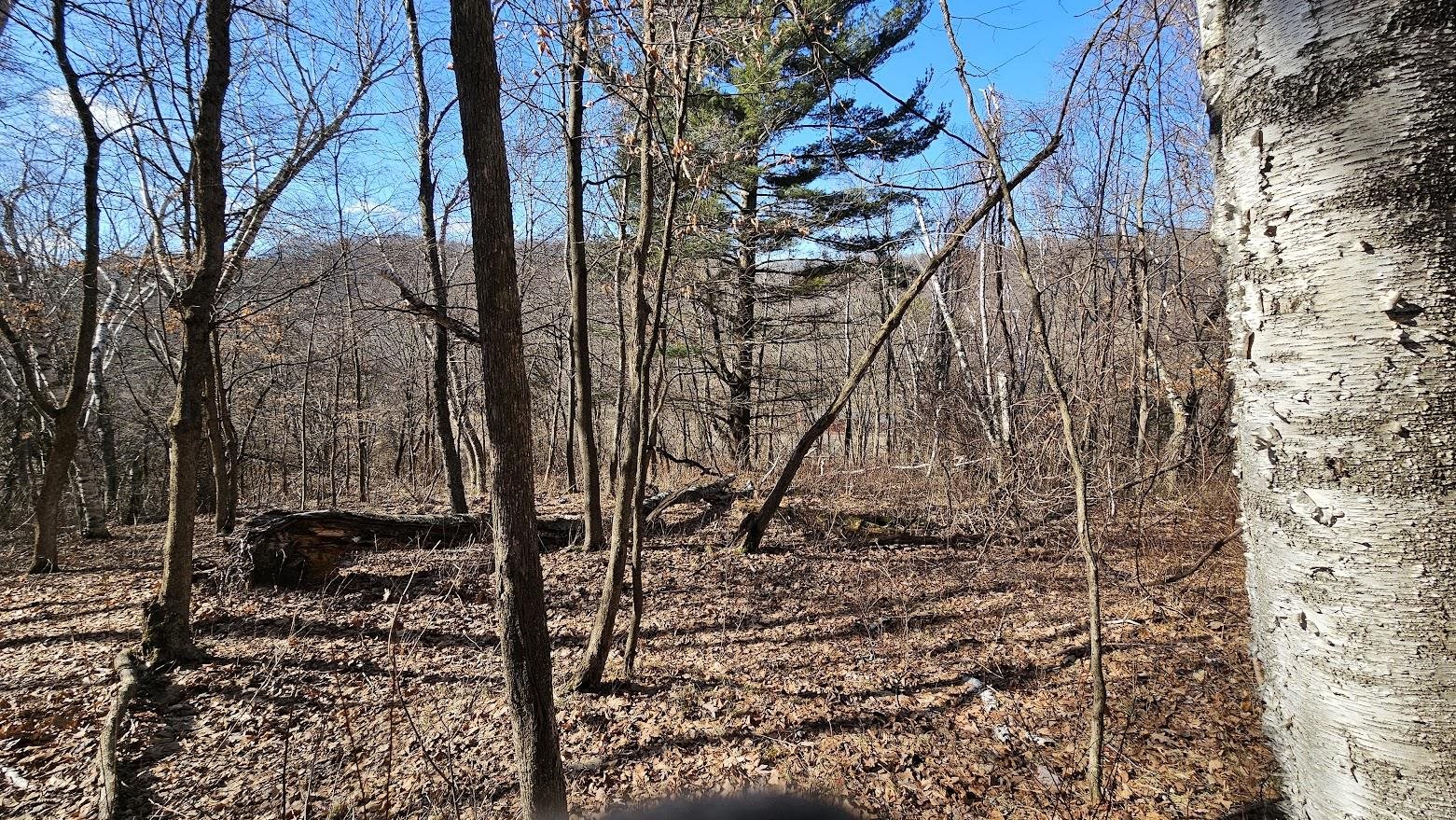 22128 County Road DD