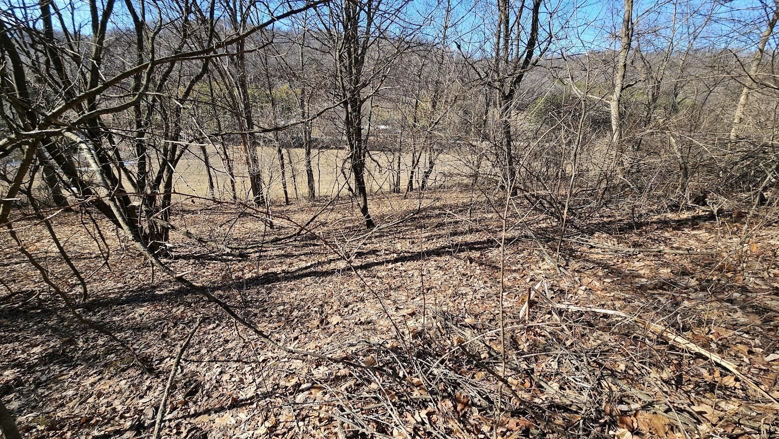 22128 County Road DD