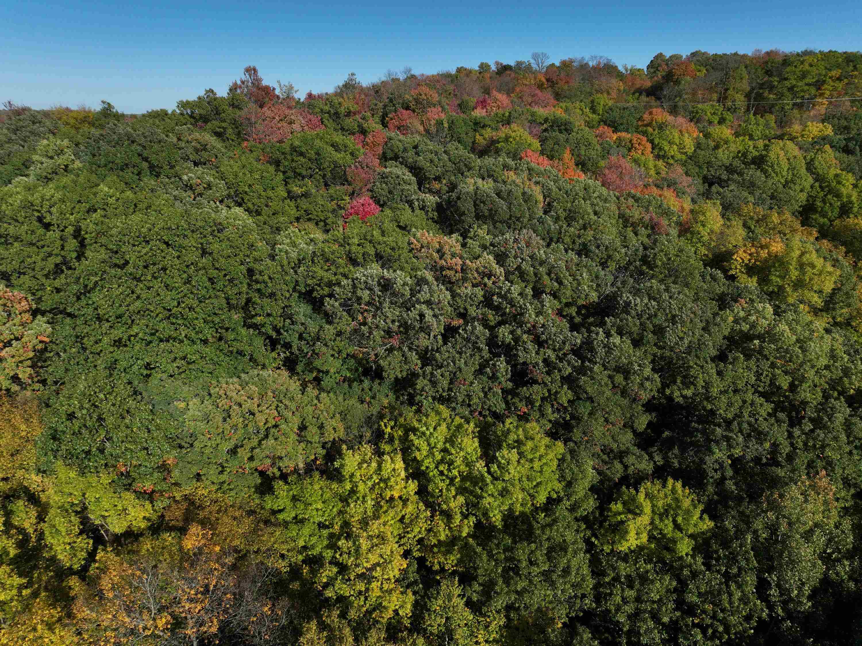 22128 County Road DD