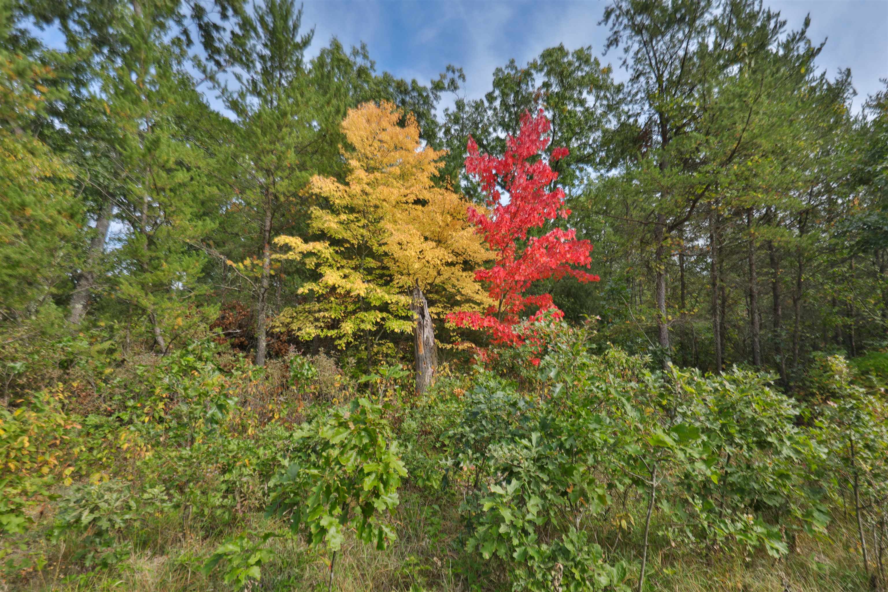 N8438 9th Avenue S