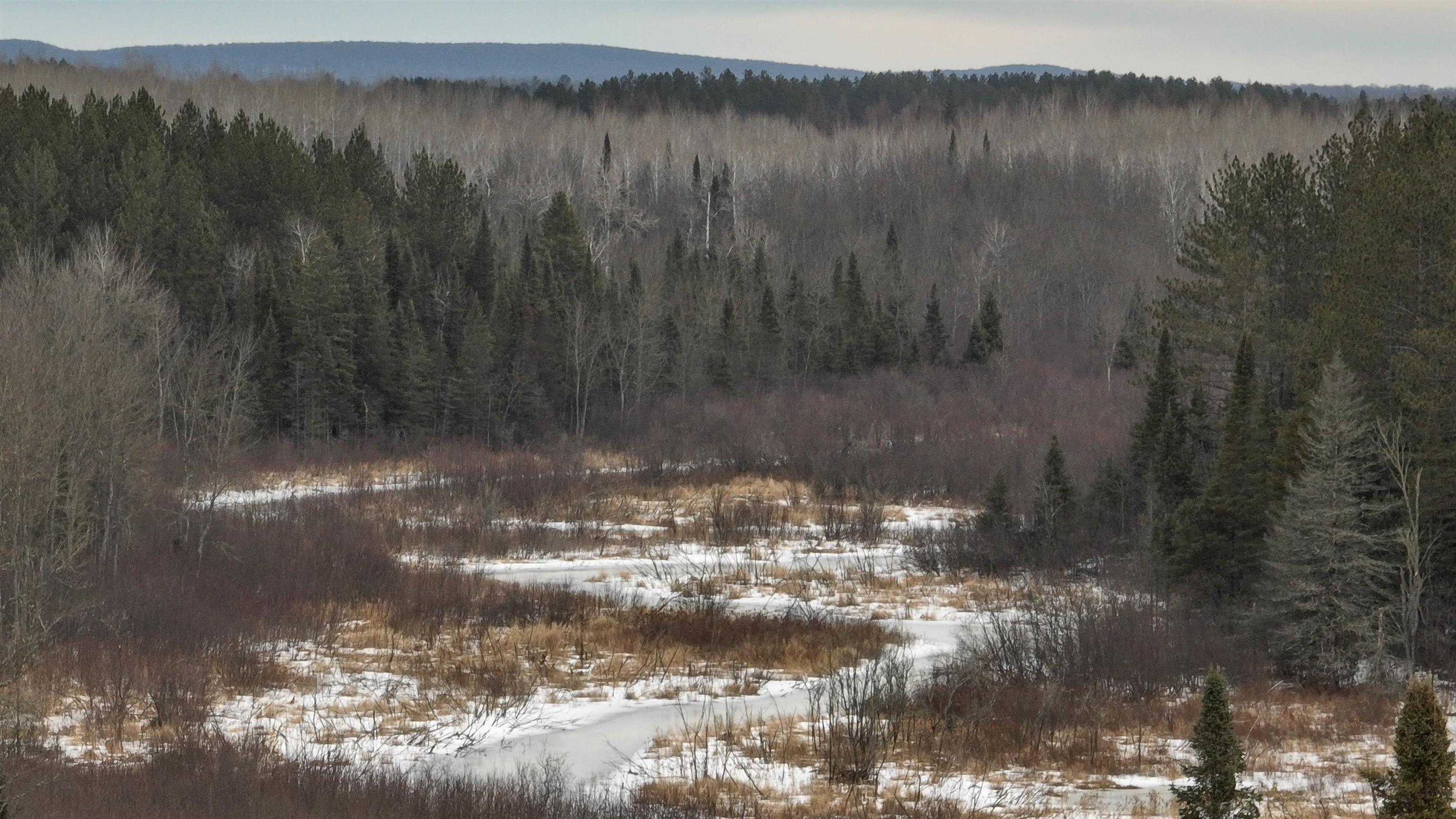 35.9 Ac Minnow Creek Road