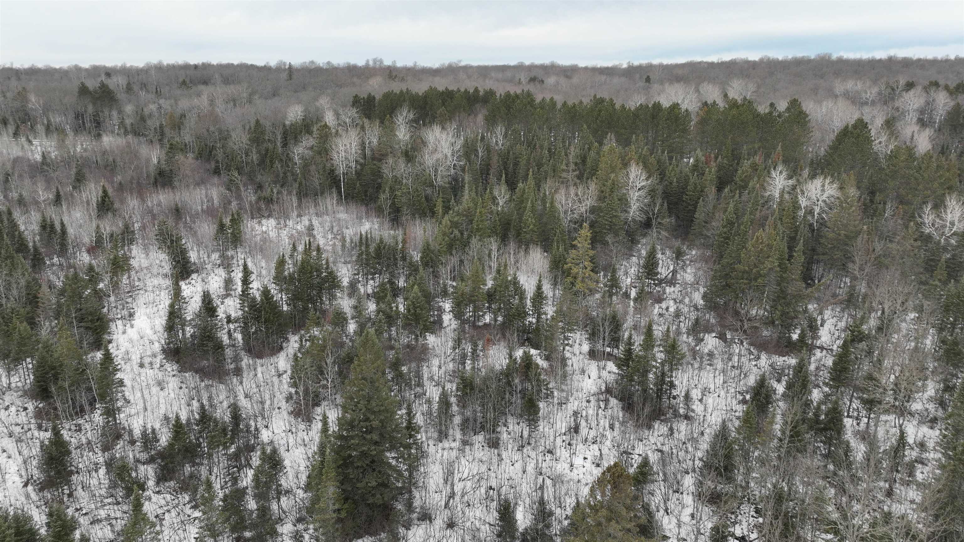 35.9 Ac Minnow Creek Road