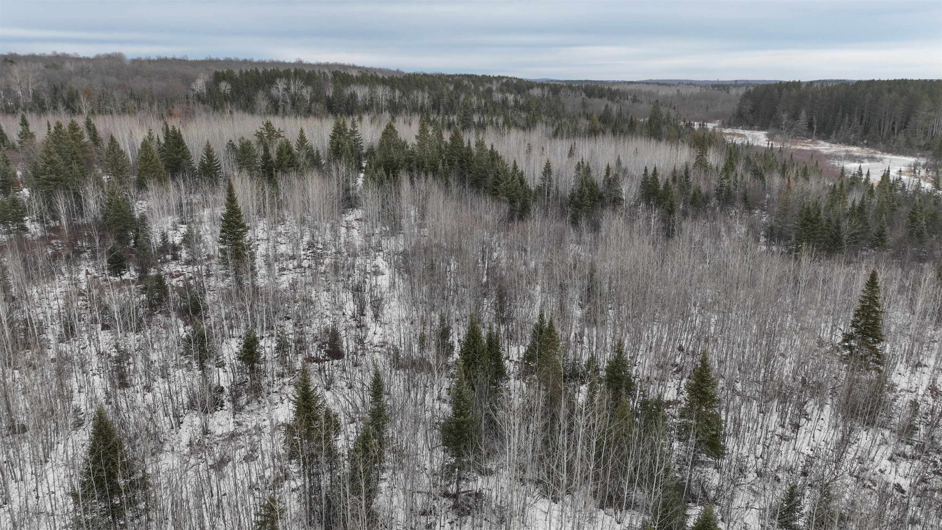 35.9 Ac Minnow Creek Road
