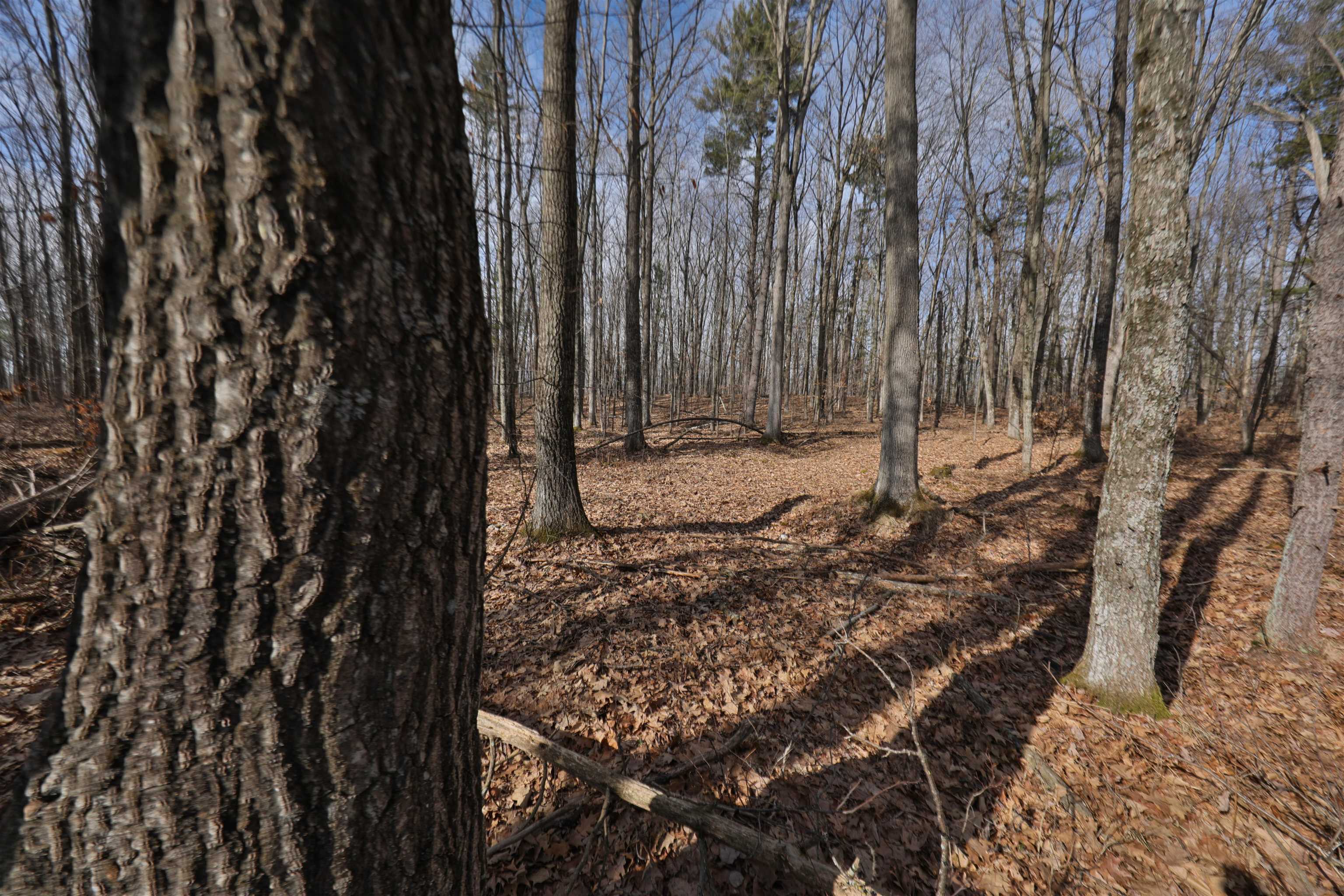 80 Ac Chili Road