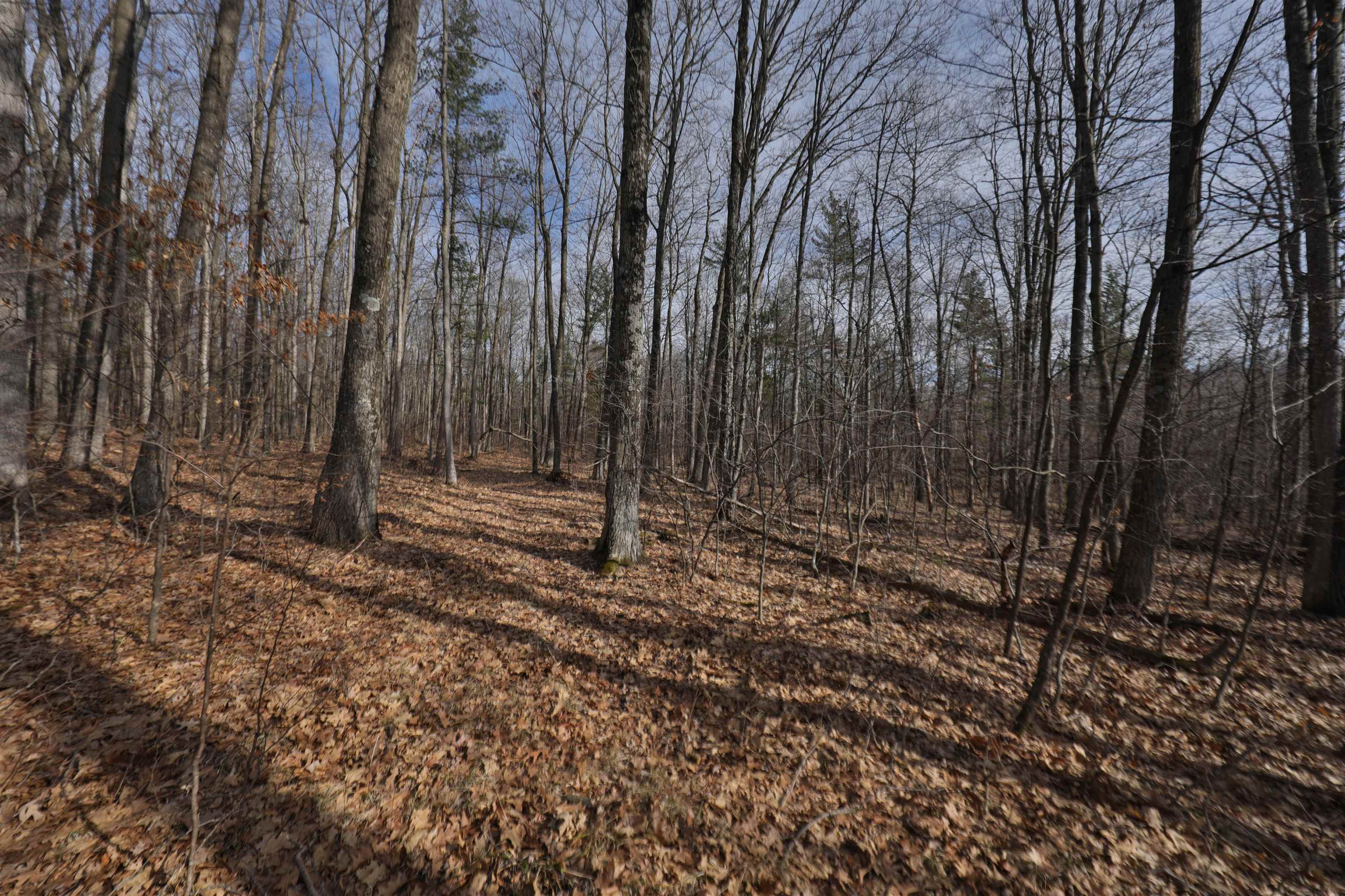 80 Ac Chili Road
