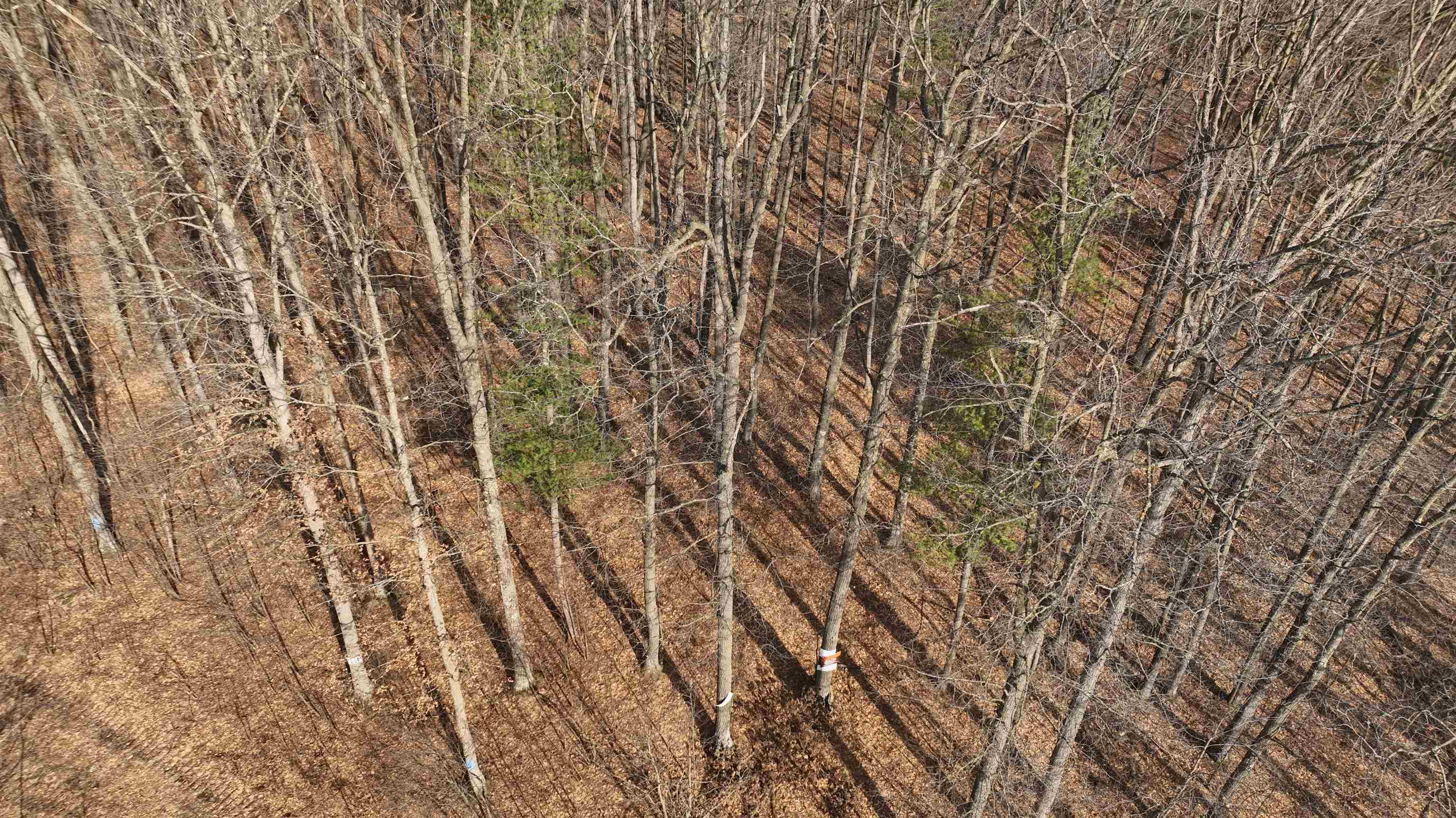 80 Ac Chili Road