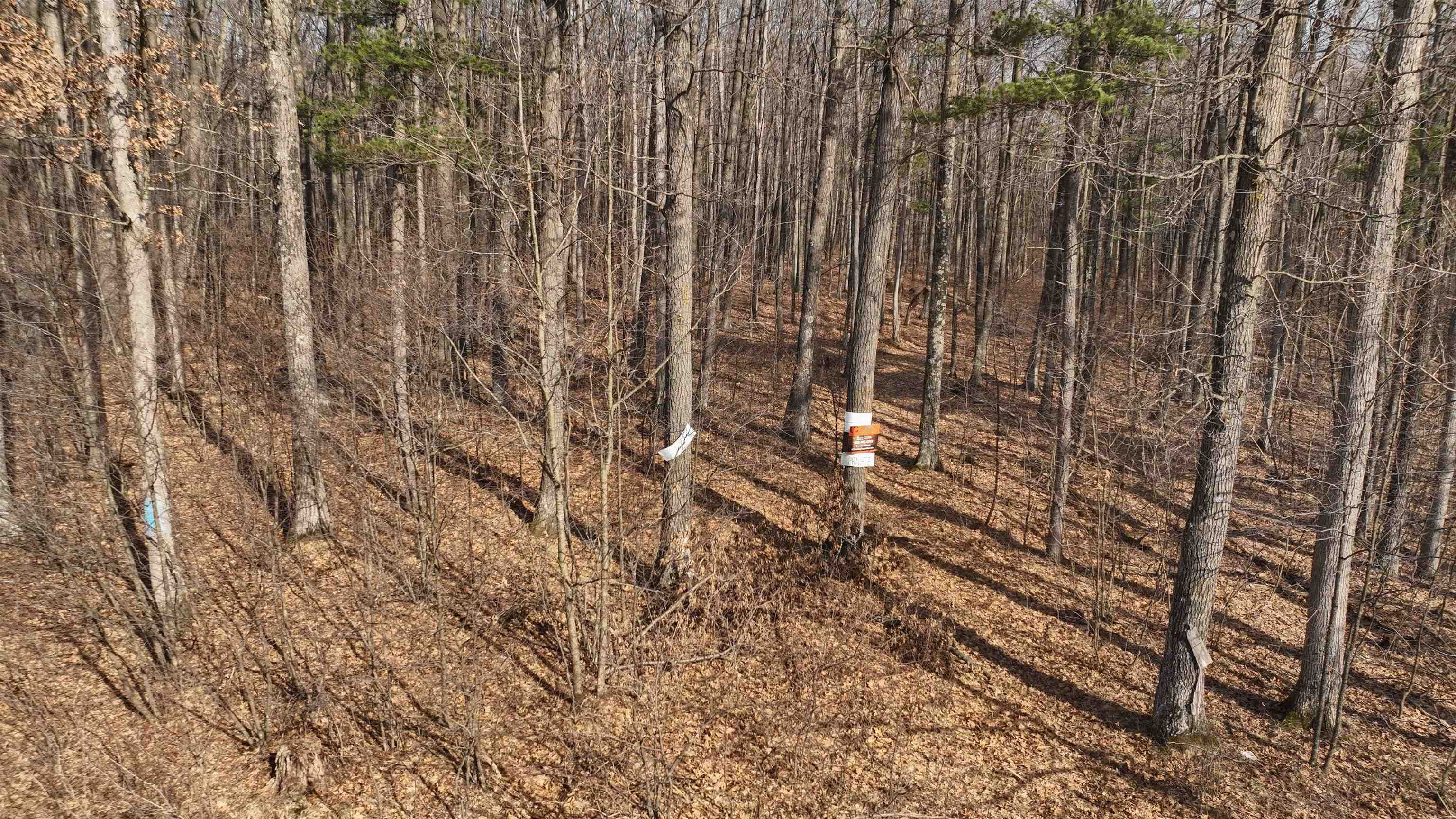 80 Ac Chili Road