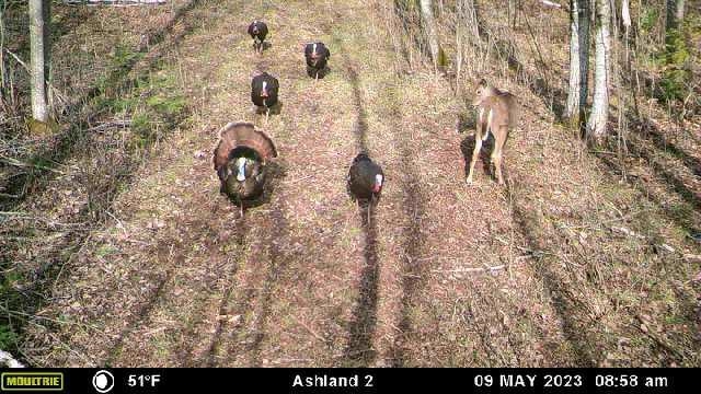 30450 Woodland Road