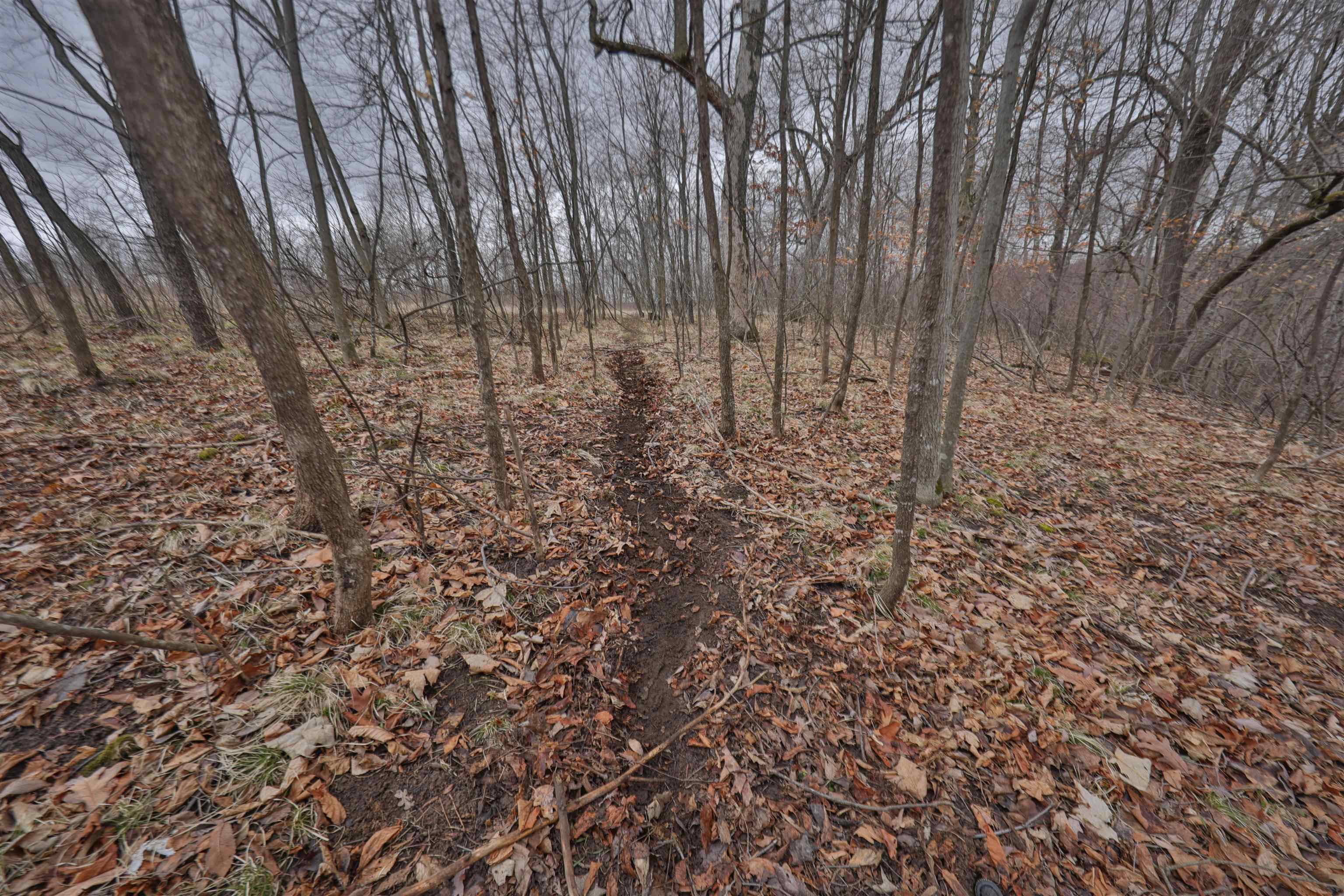 120.20AC Bugbee Hollow Road