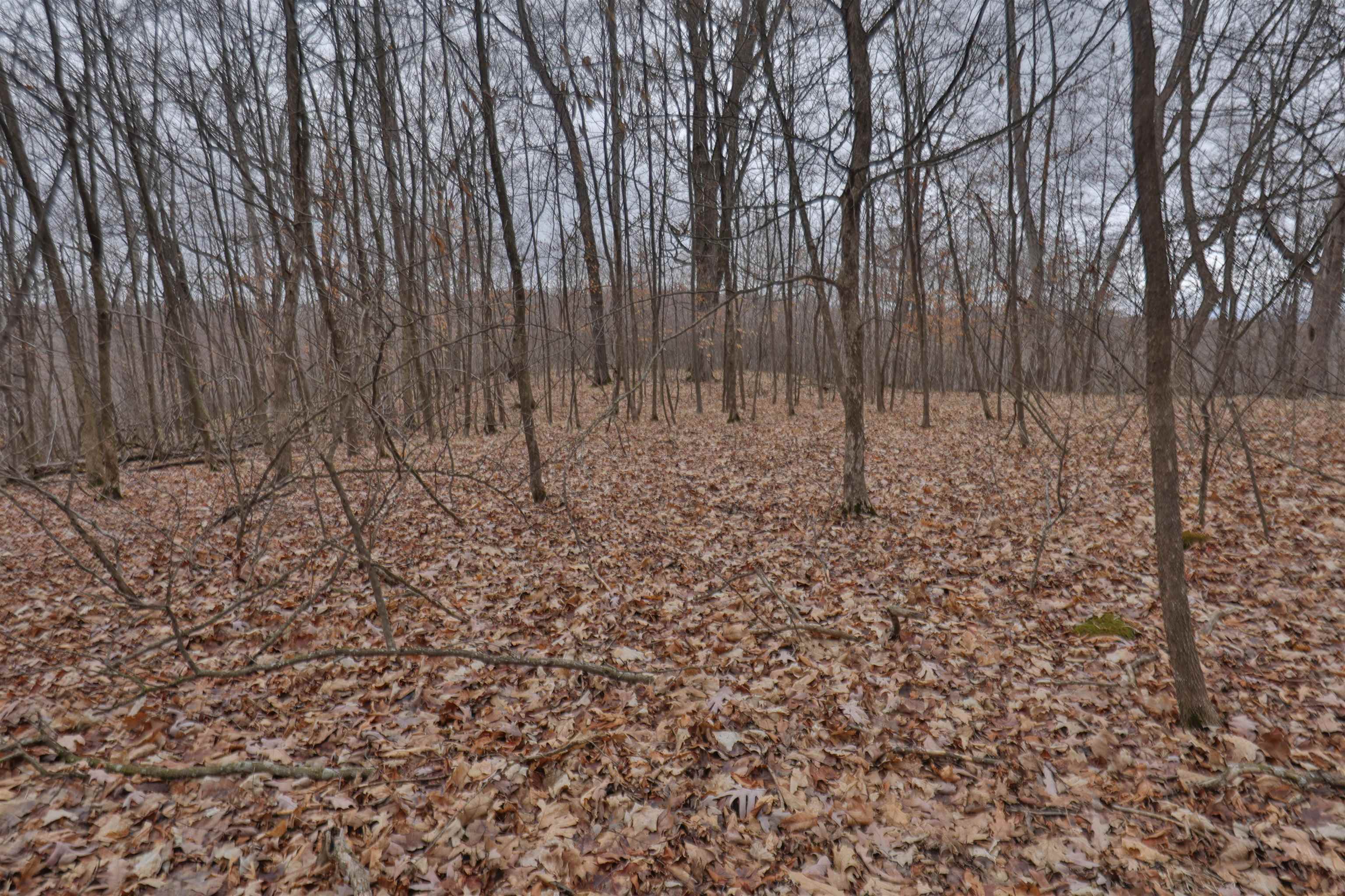 120.20AC Bugbee Hollow Road