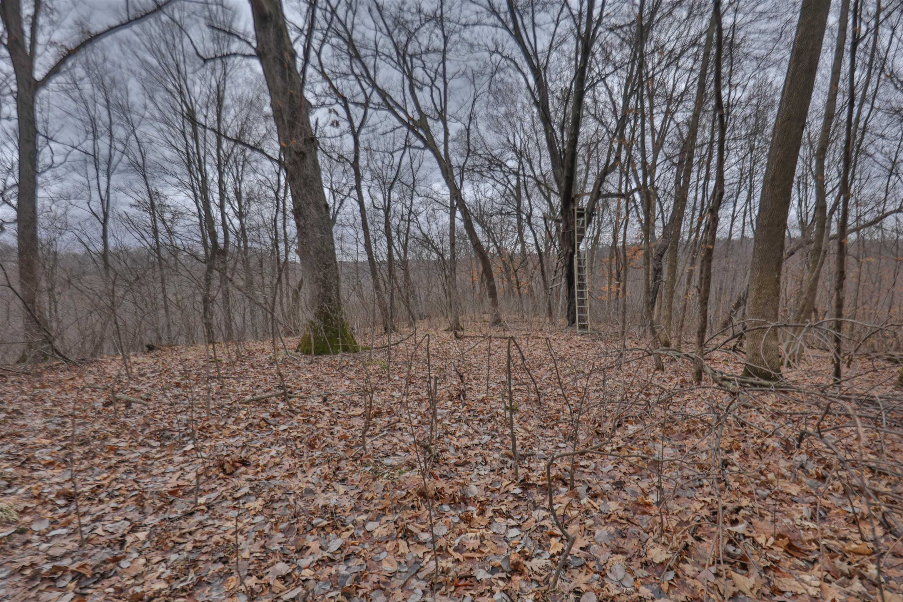 120.20AC Bugbee Hollow Road