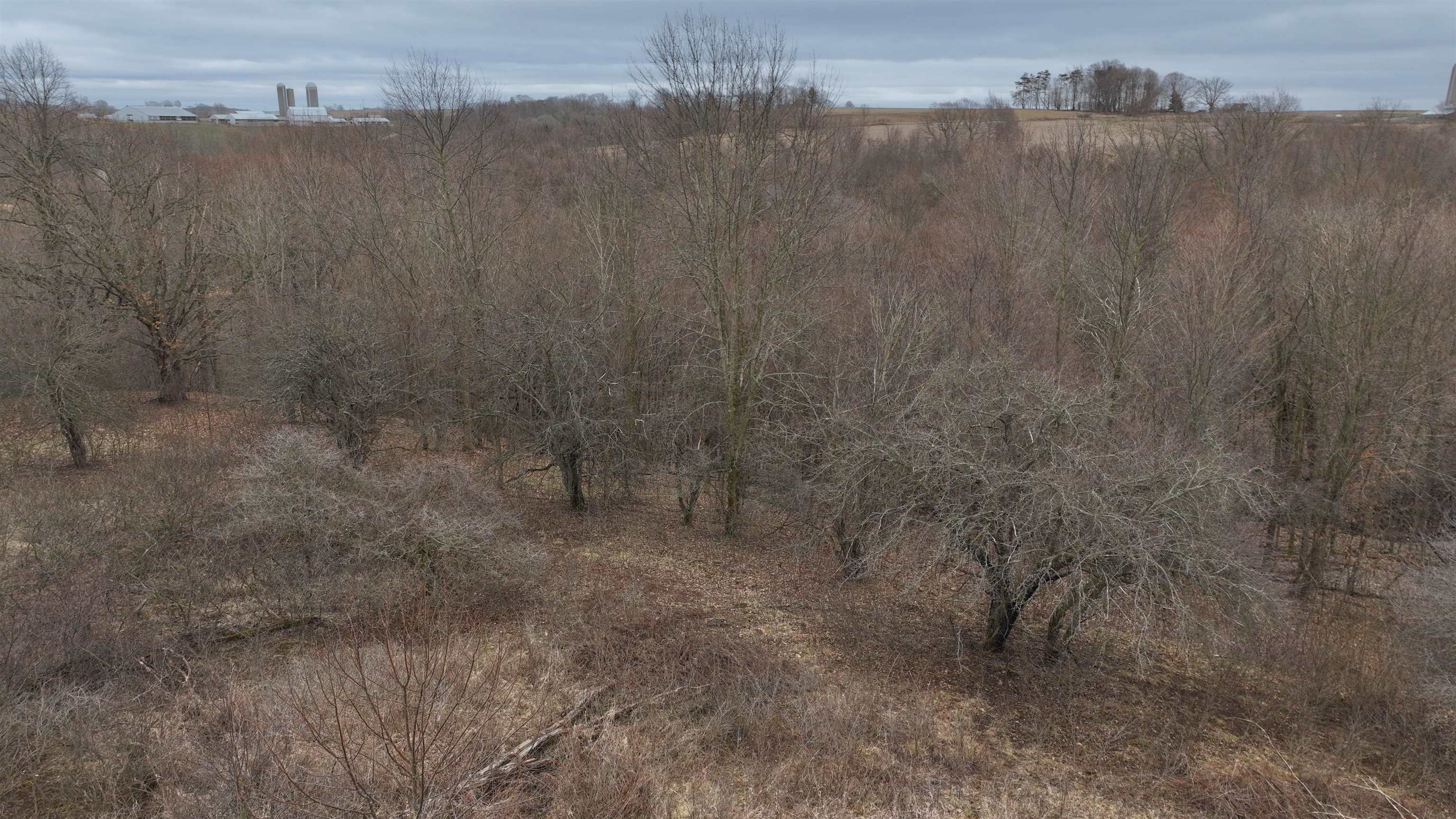 120.20AC Bugbee Hollow Road