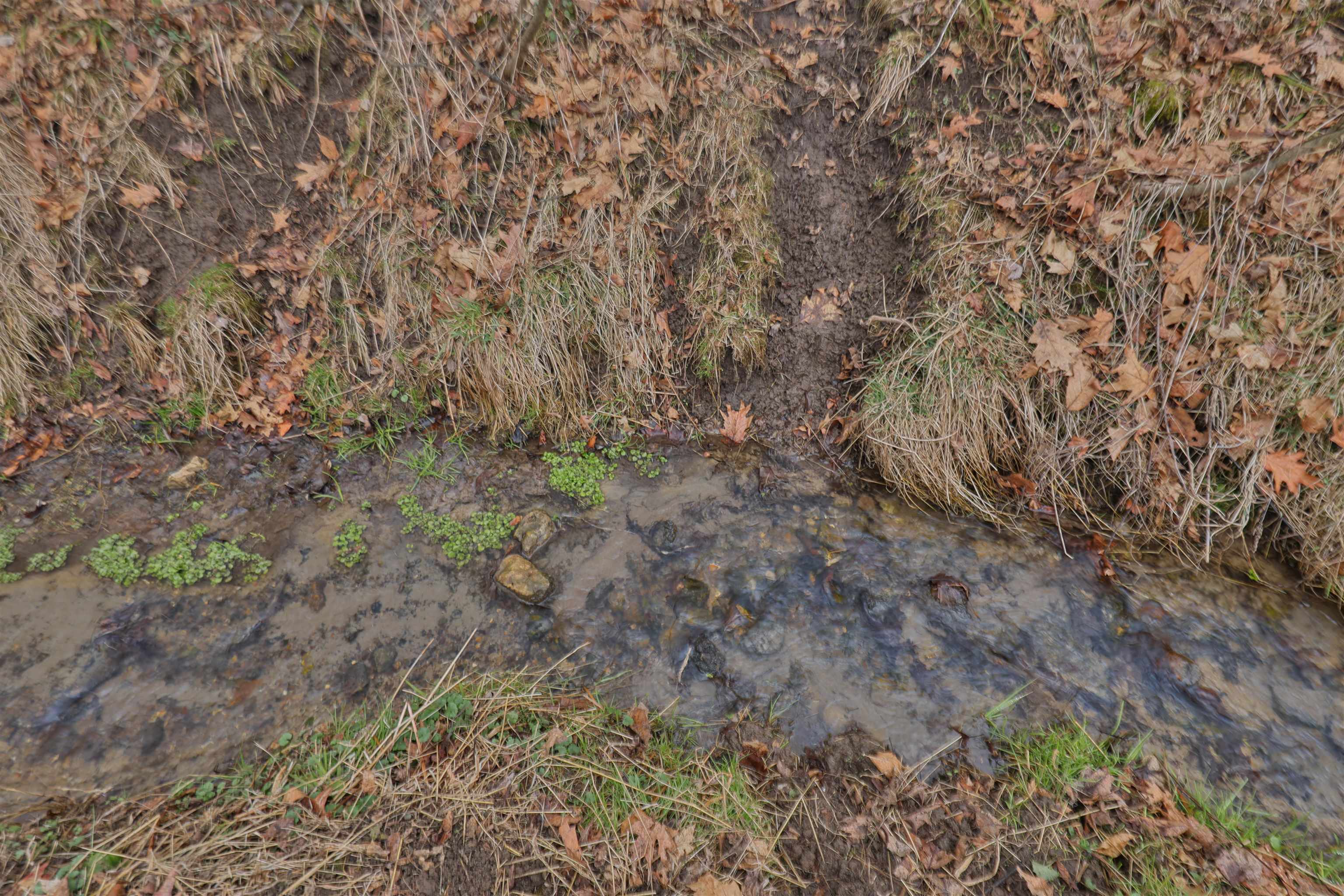 120.20AC Bugbee Hollow Road