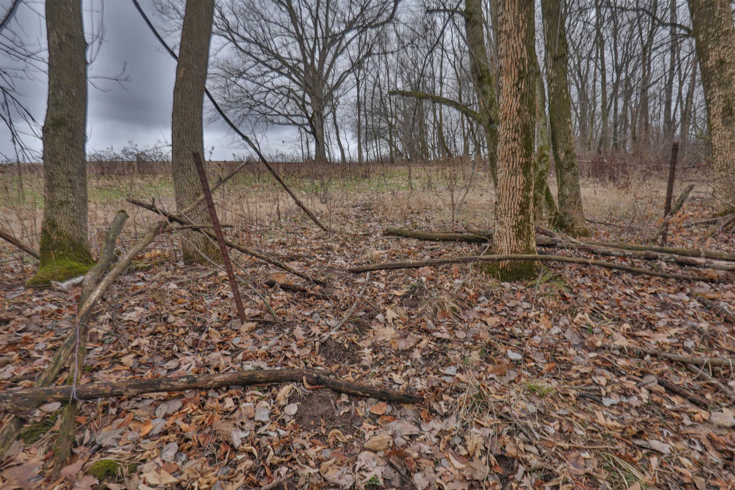 120.20AC Bugbee Hollow Road
