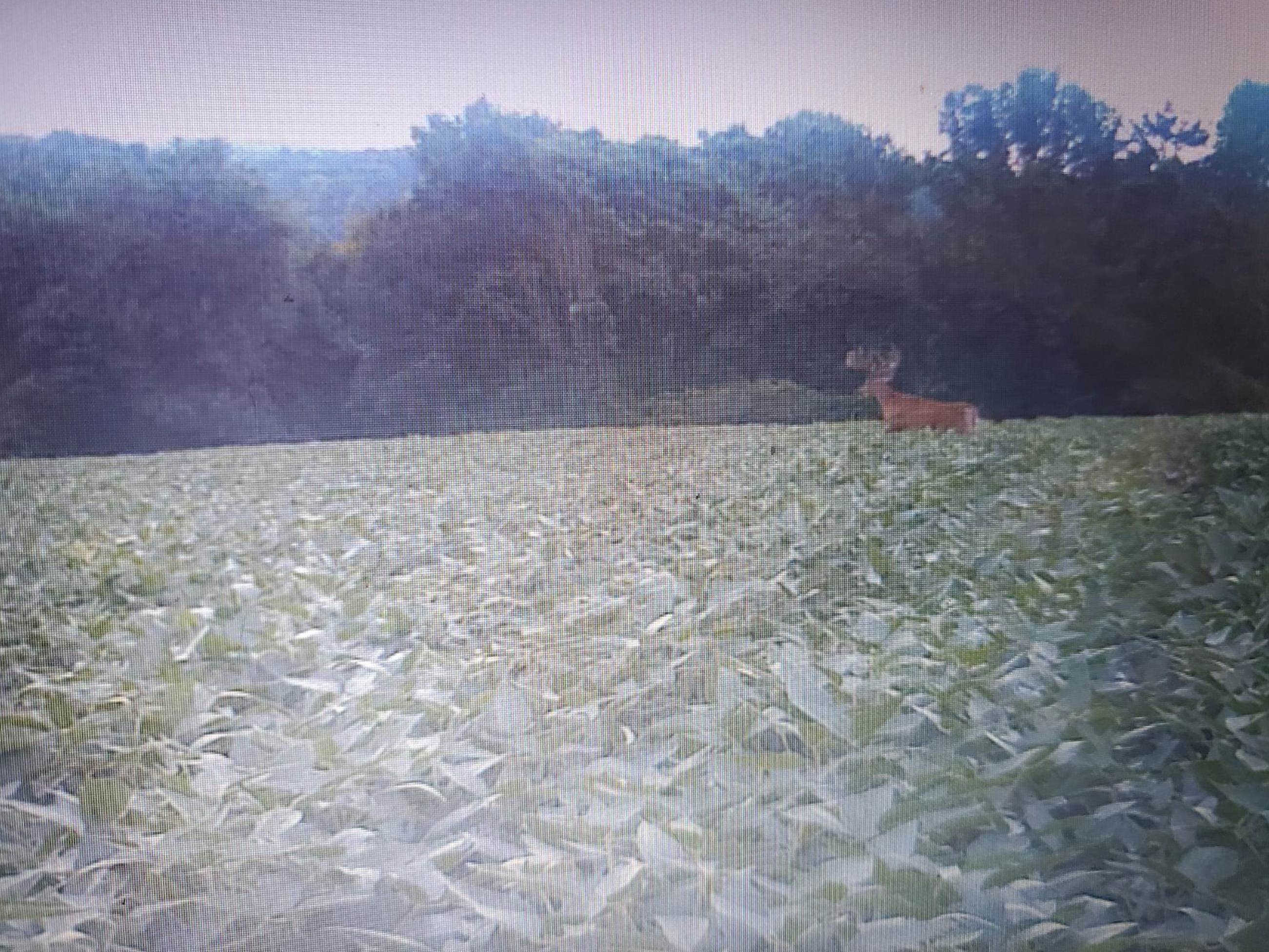 120.20AC Bugbee Hollow Road