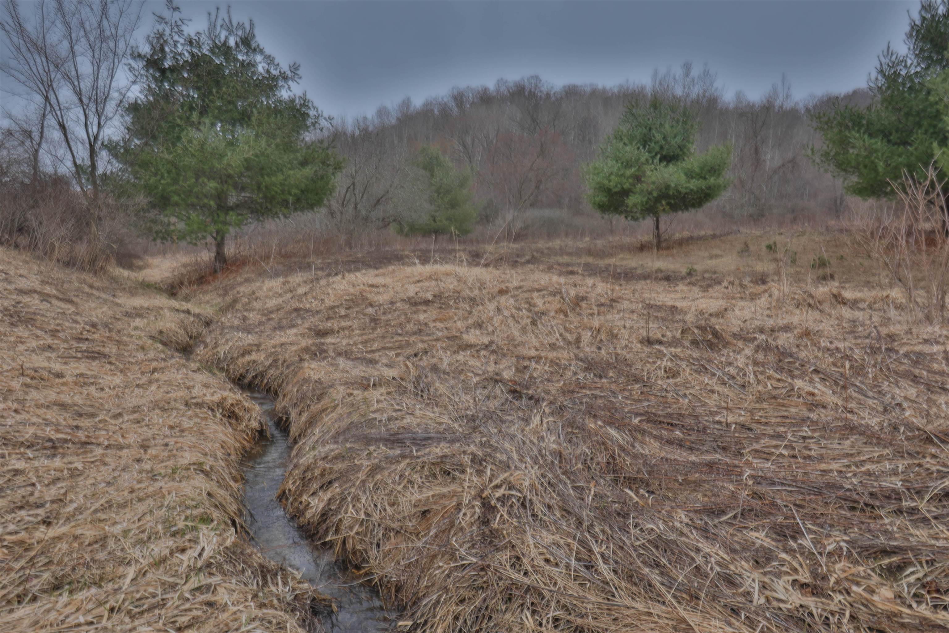 120.20AC Bugbee Hollow Road