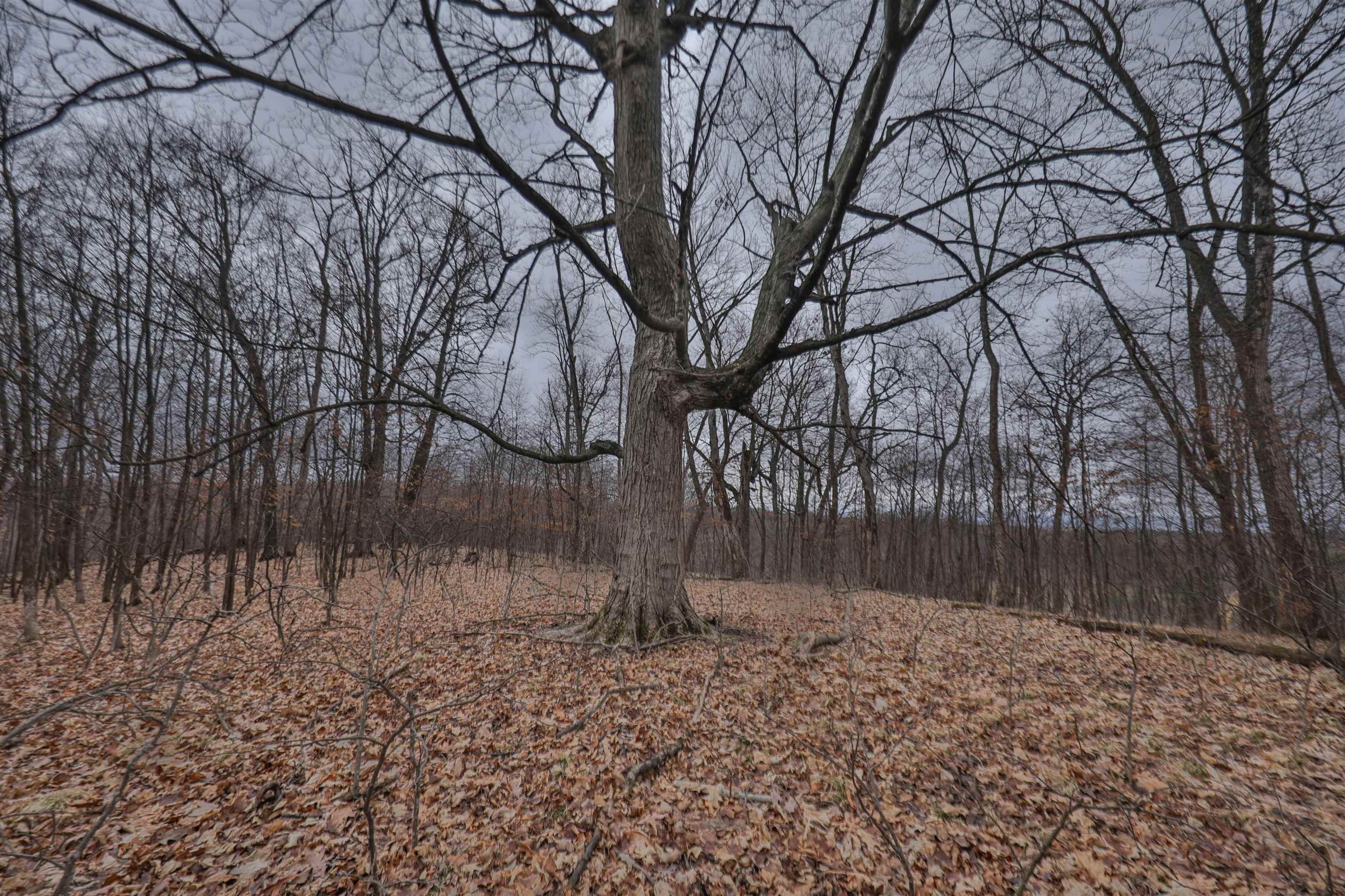 120.20AC Bugbee Hollow Road