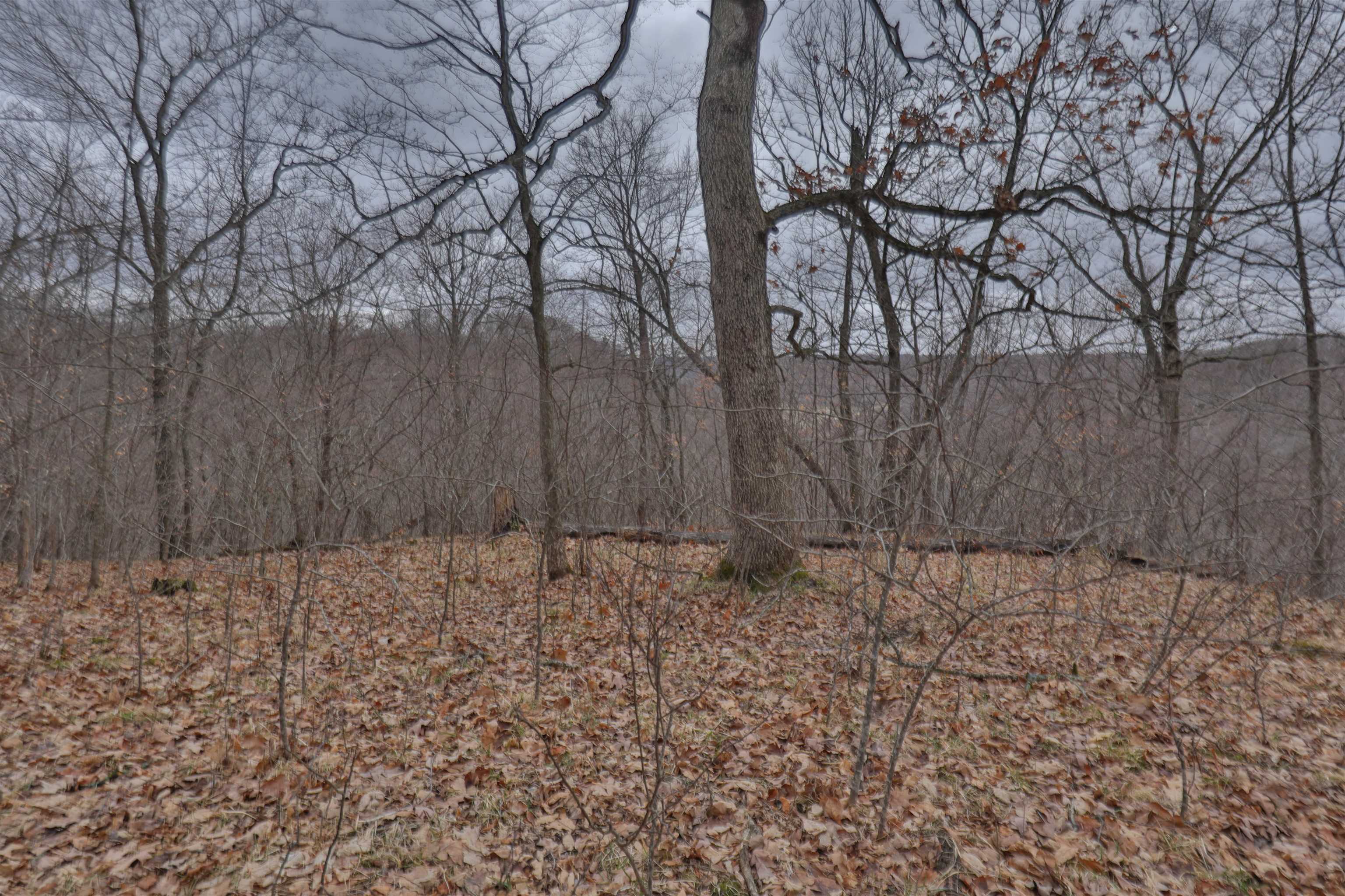 120.20AC Bugbee Hollow Road