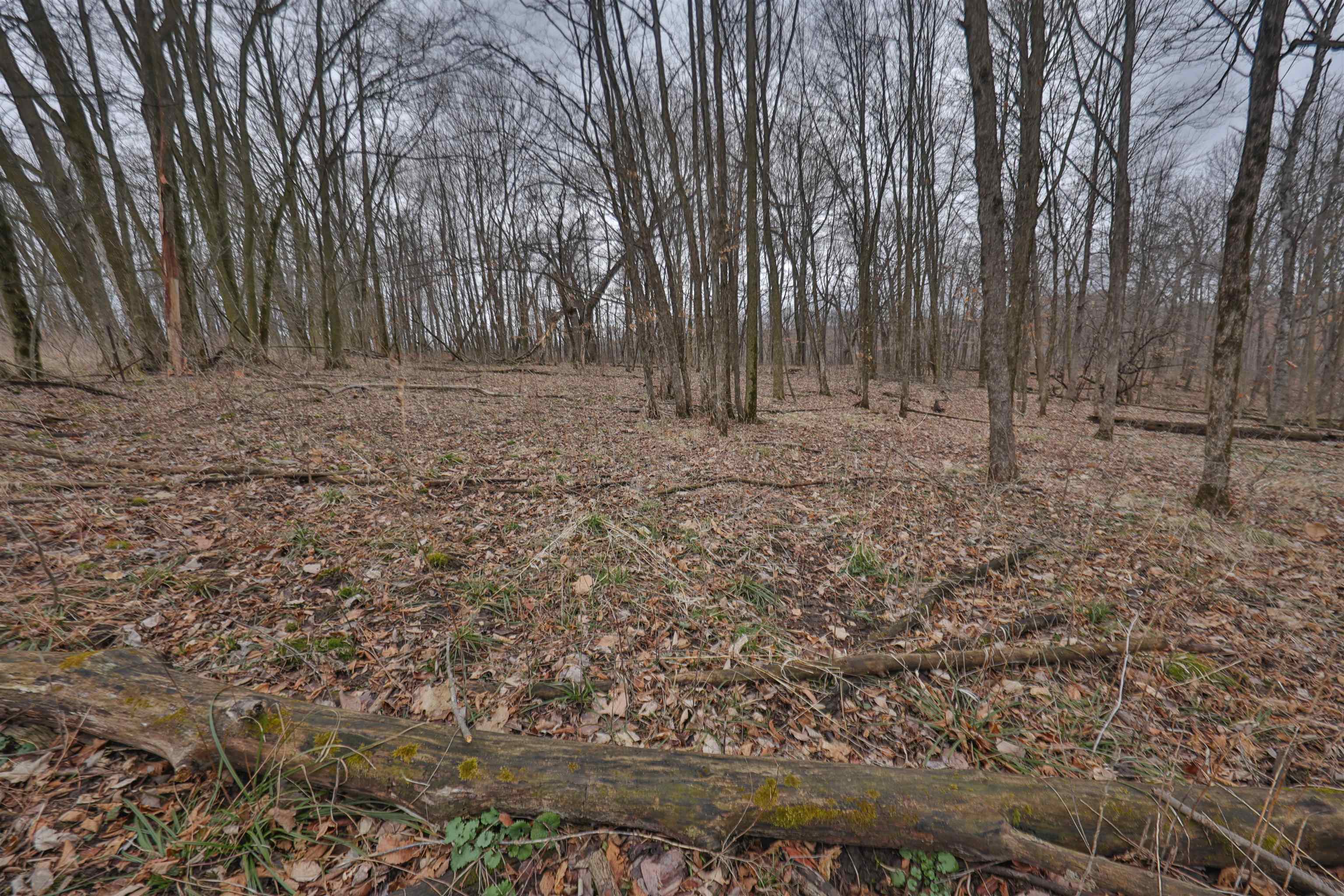 120.20AC Bugbee Hollow Road