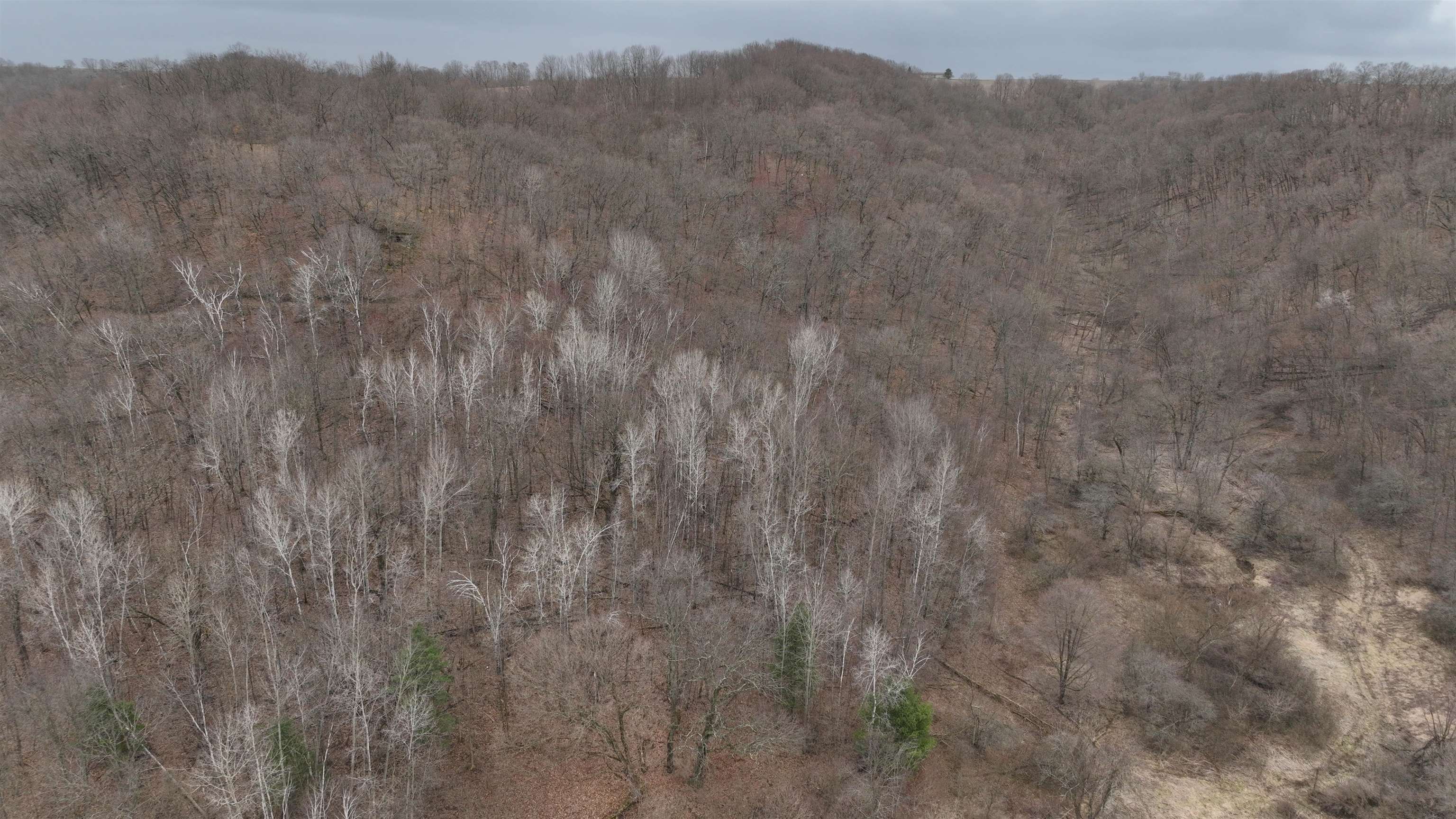 120.20AC Bugbee Hollow Road