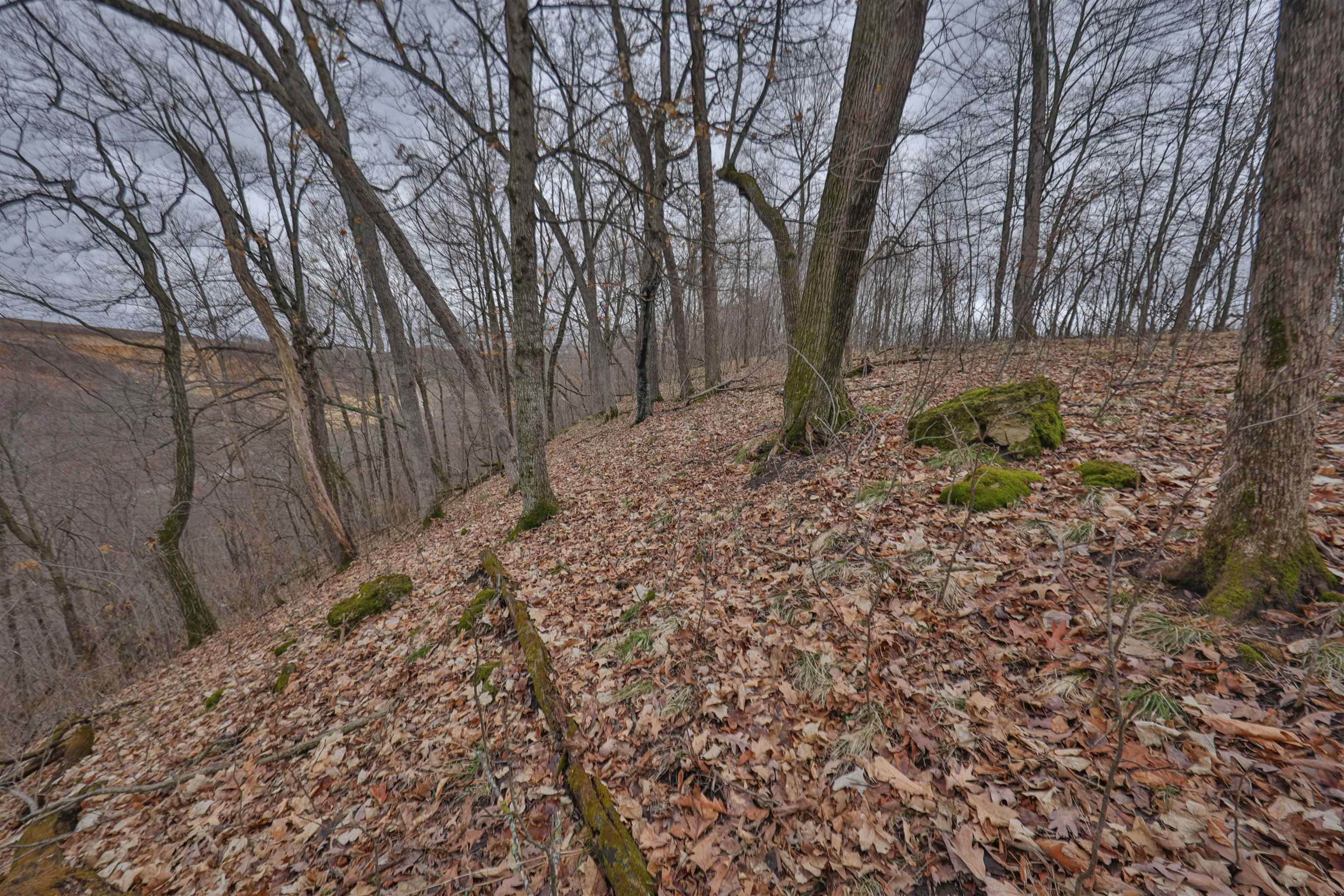 120.20AC Bugbee Hollow Road