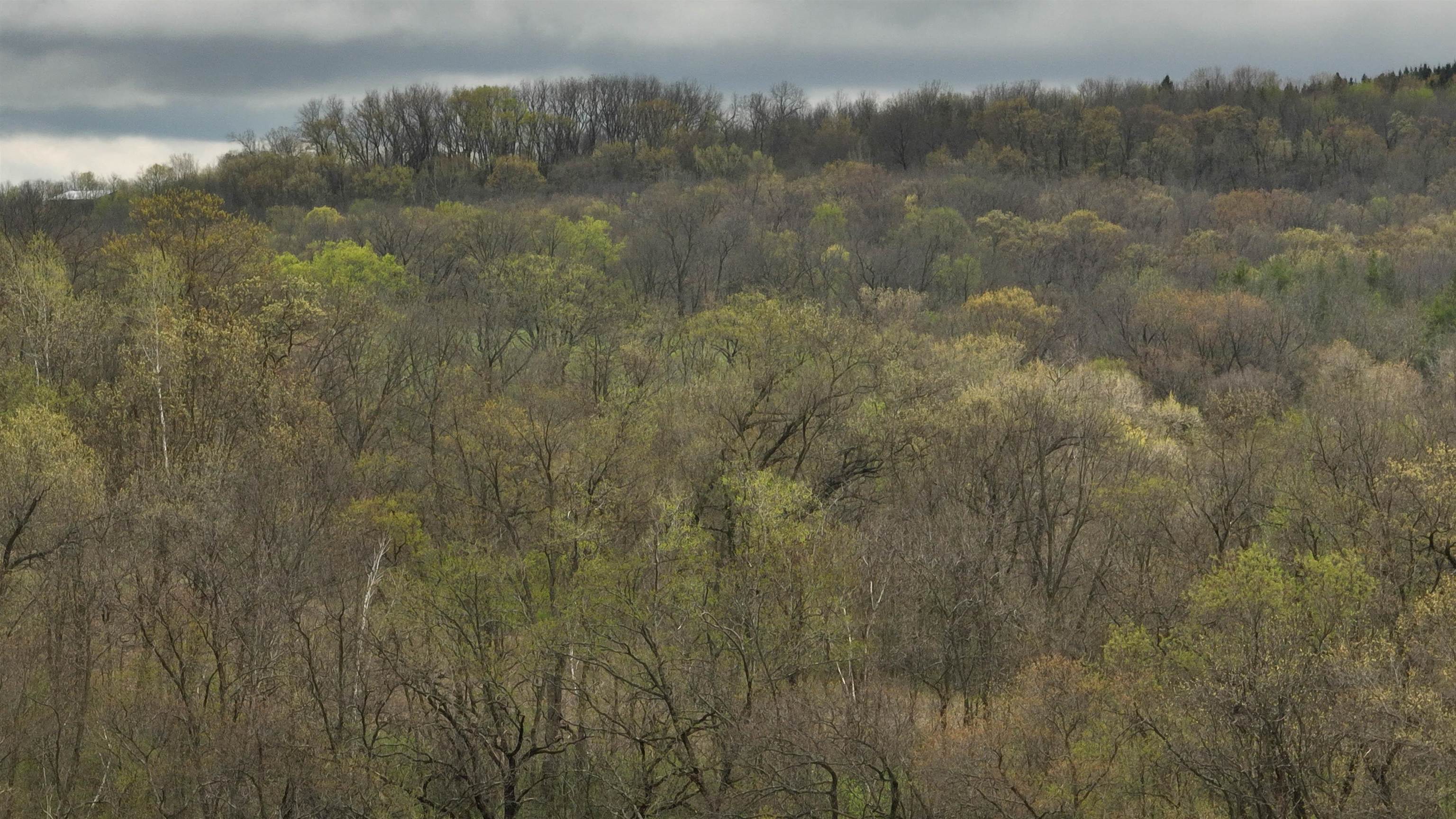 000 Rhein Hollow Road