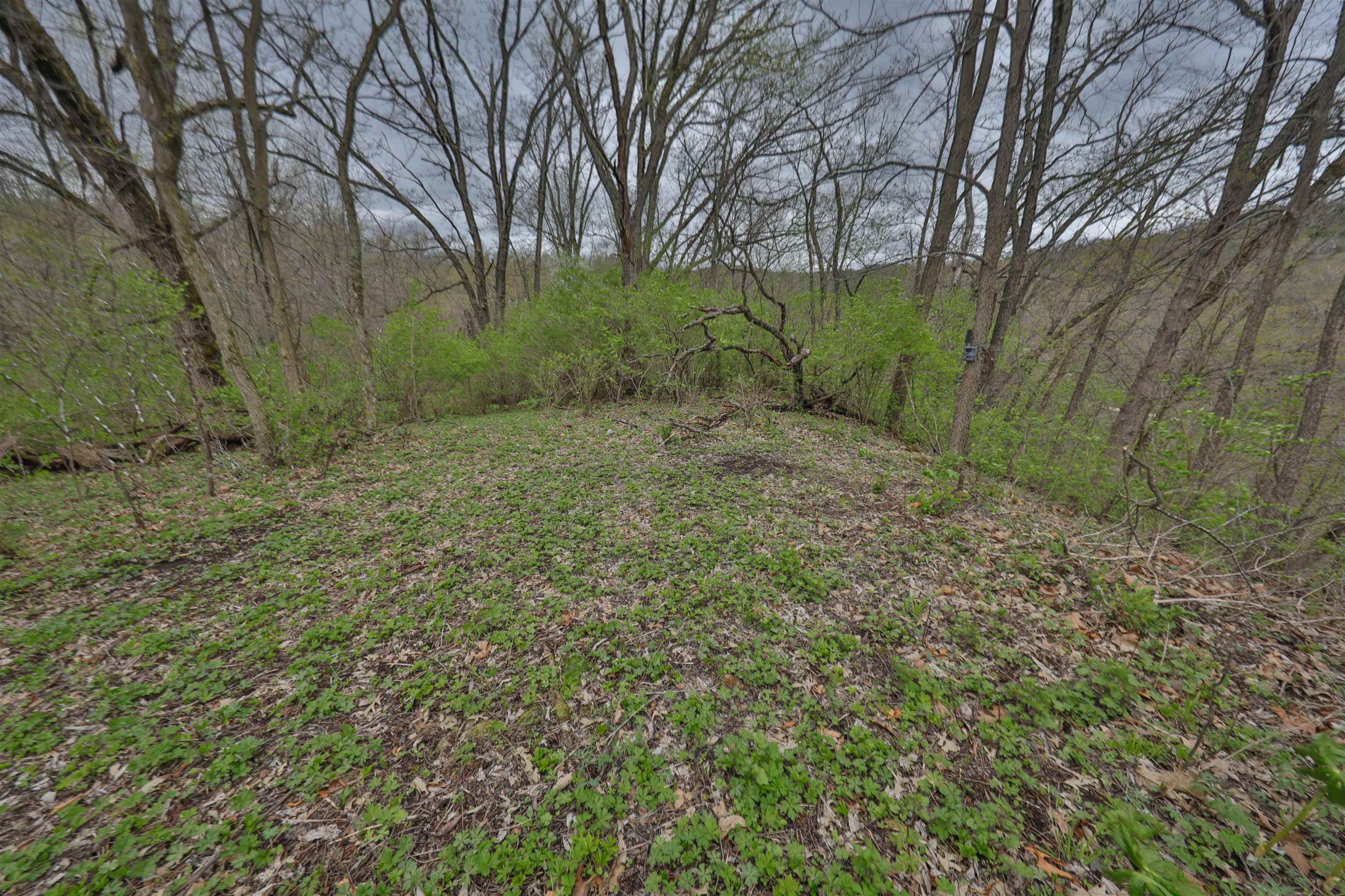 000 Rhein Hollow Road