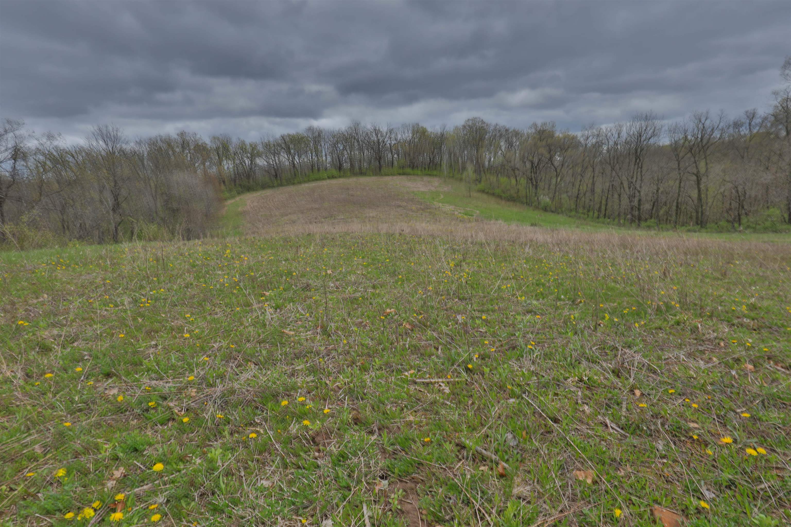 000 Rhein Hollow Road