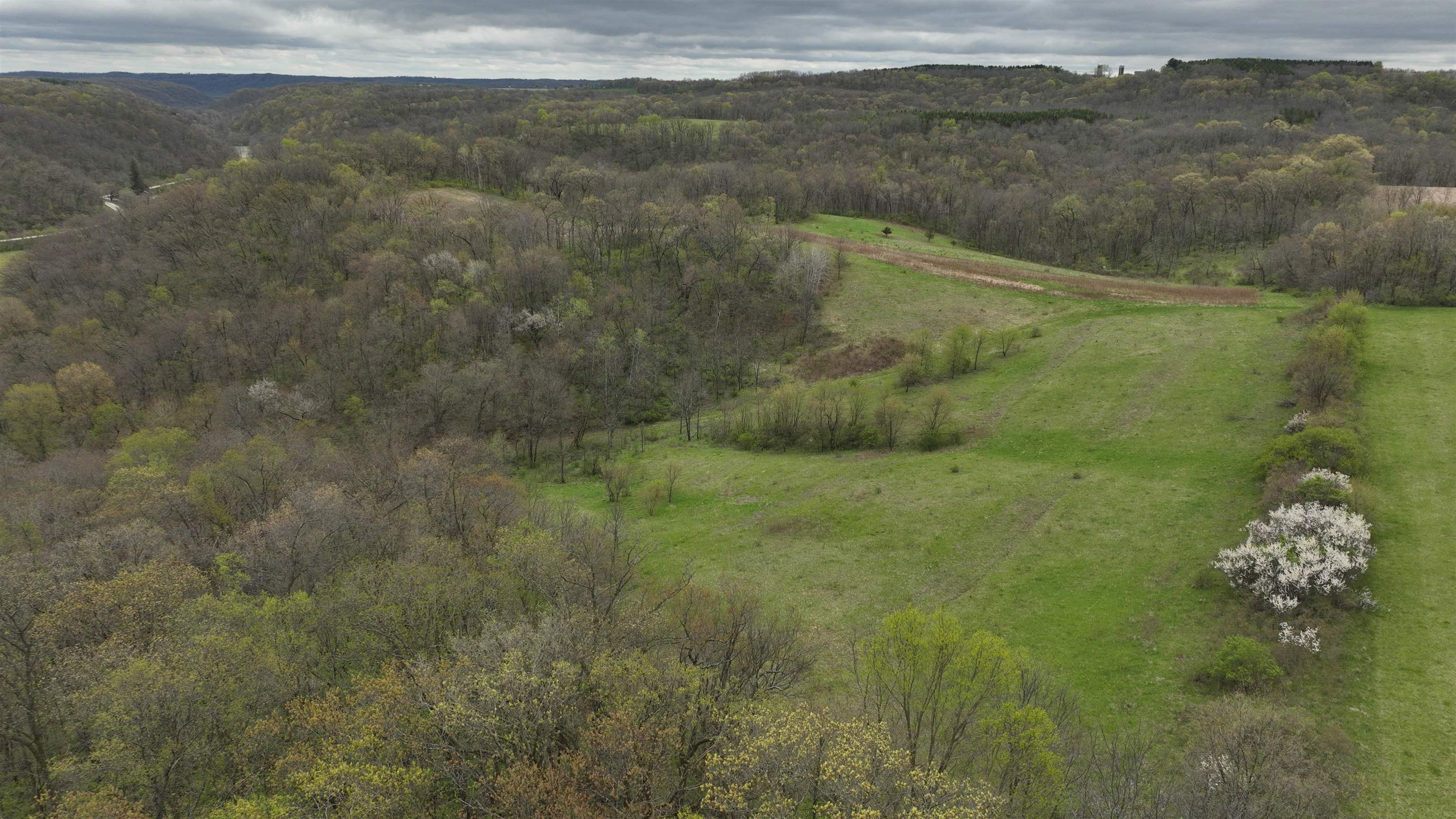 000 Rhein Hollow Road