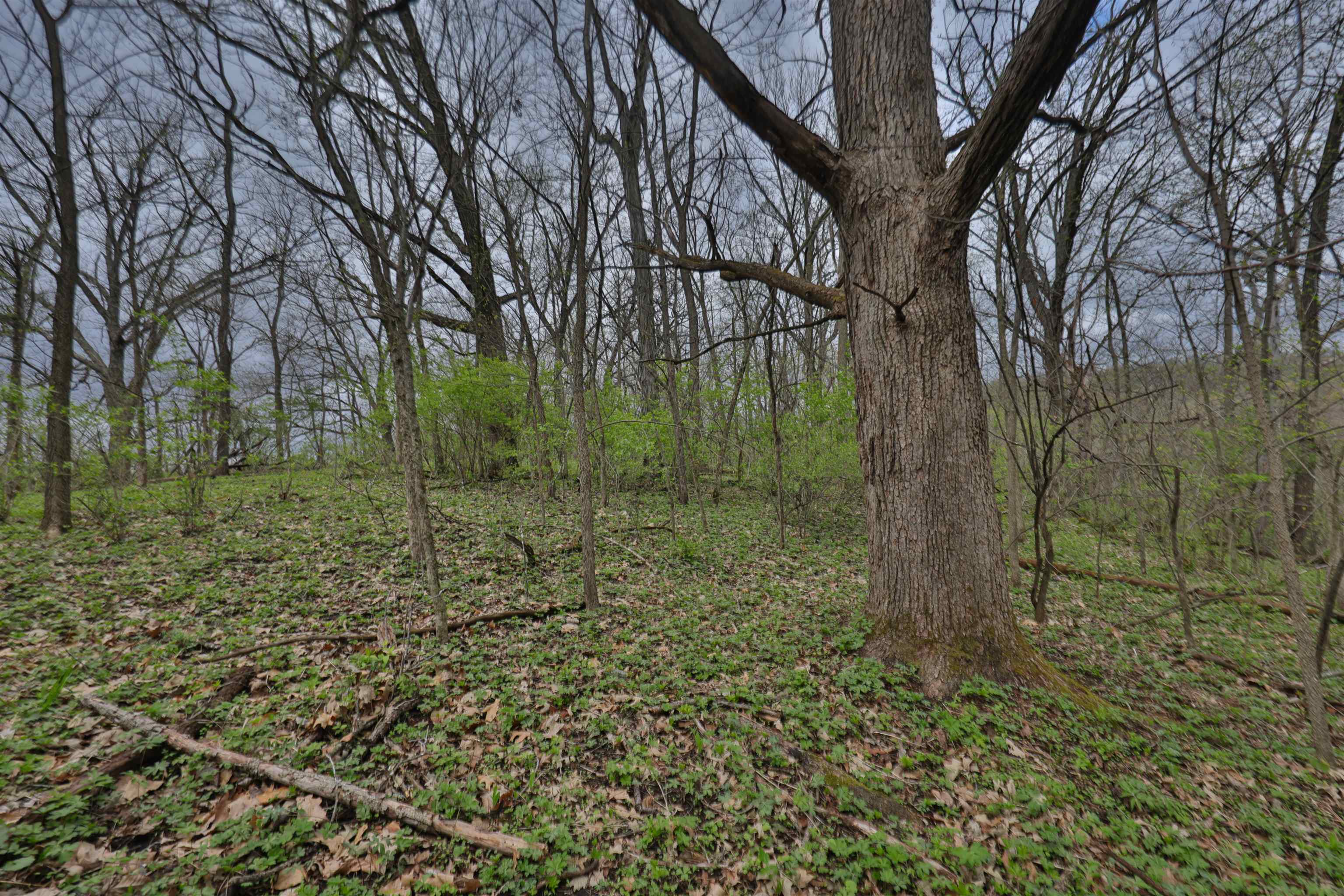 000 Rhein Hollow Road