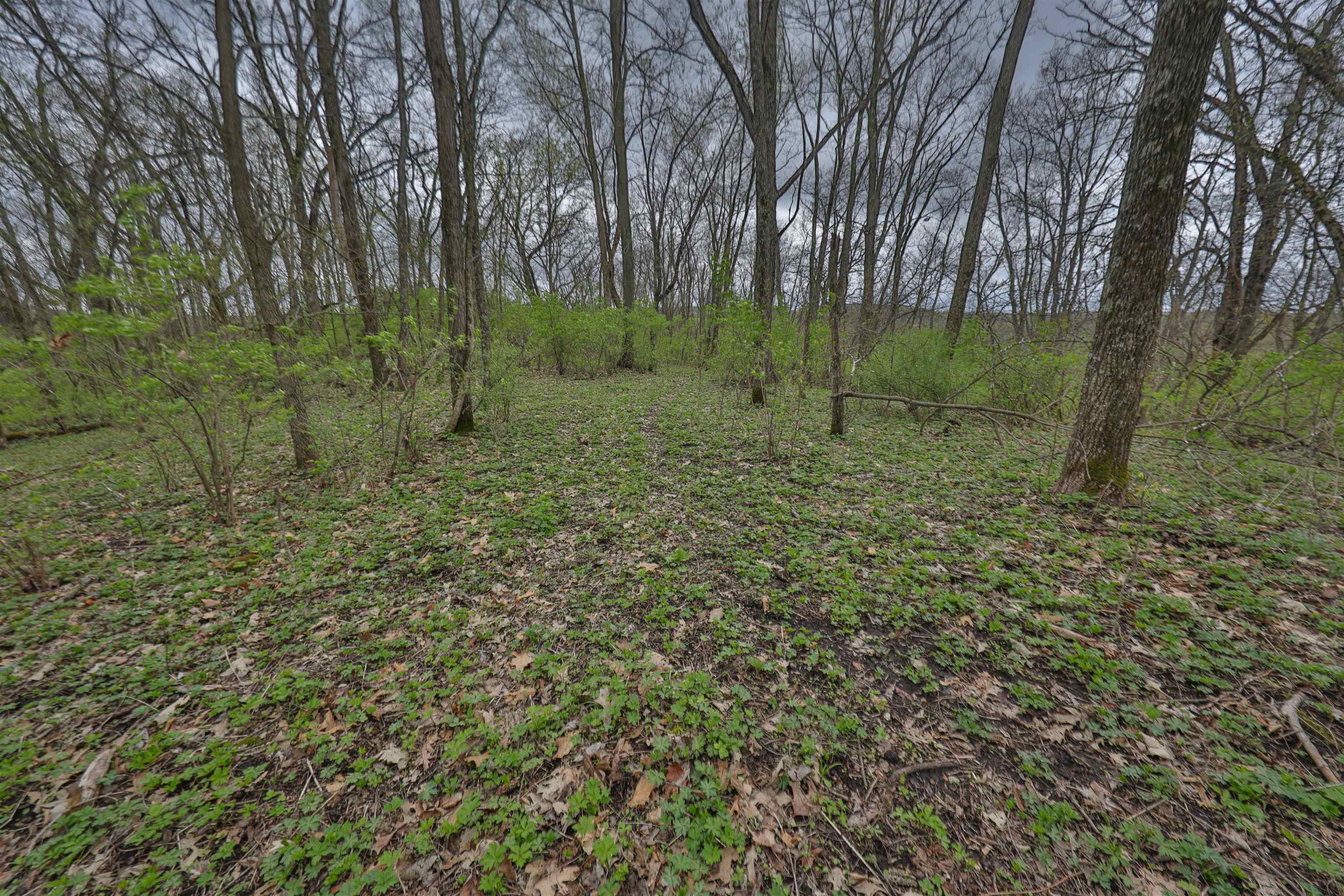000 Rhein Hollow Road