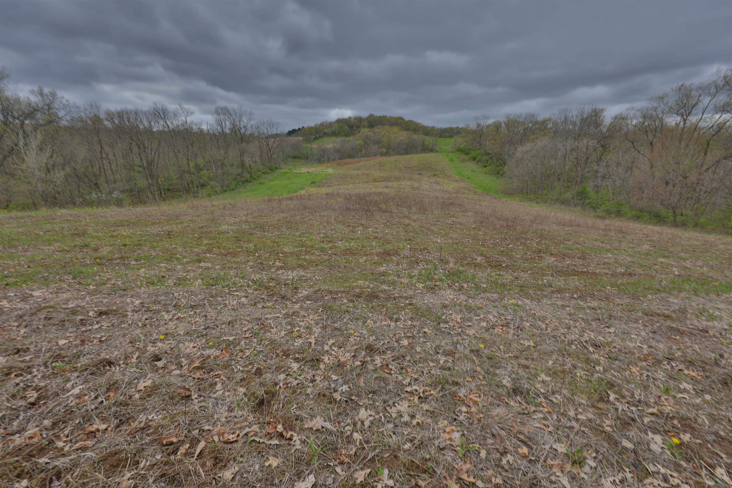 000 Rhein Hollow Road