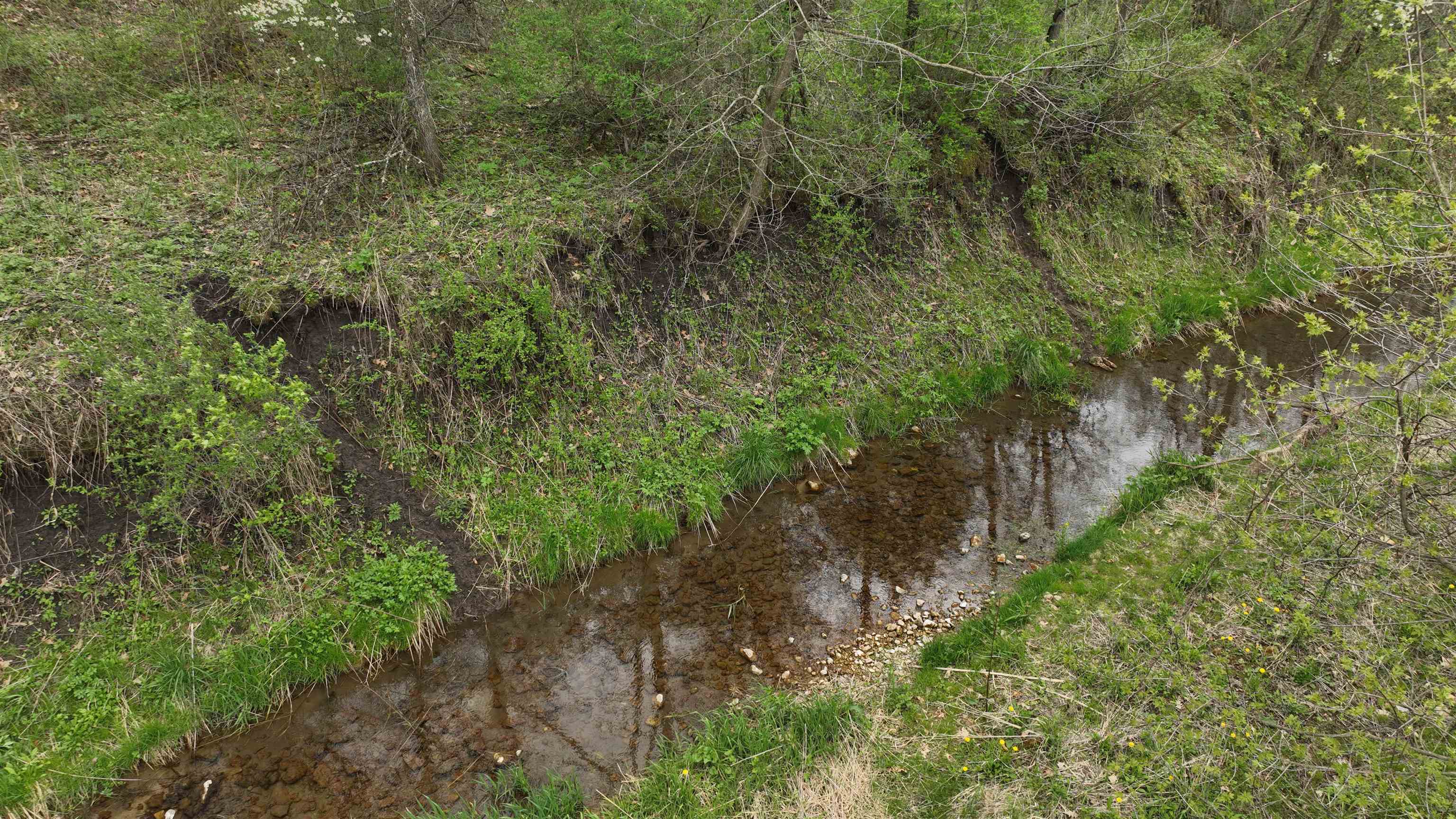 000 Rhein Hollow Road