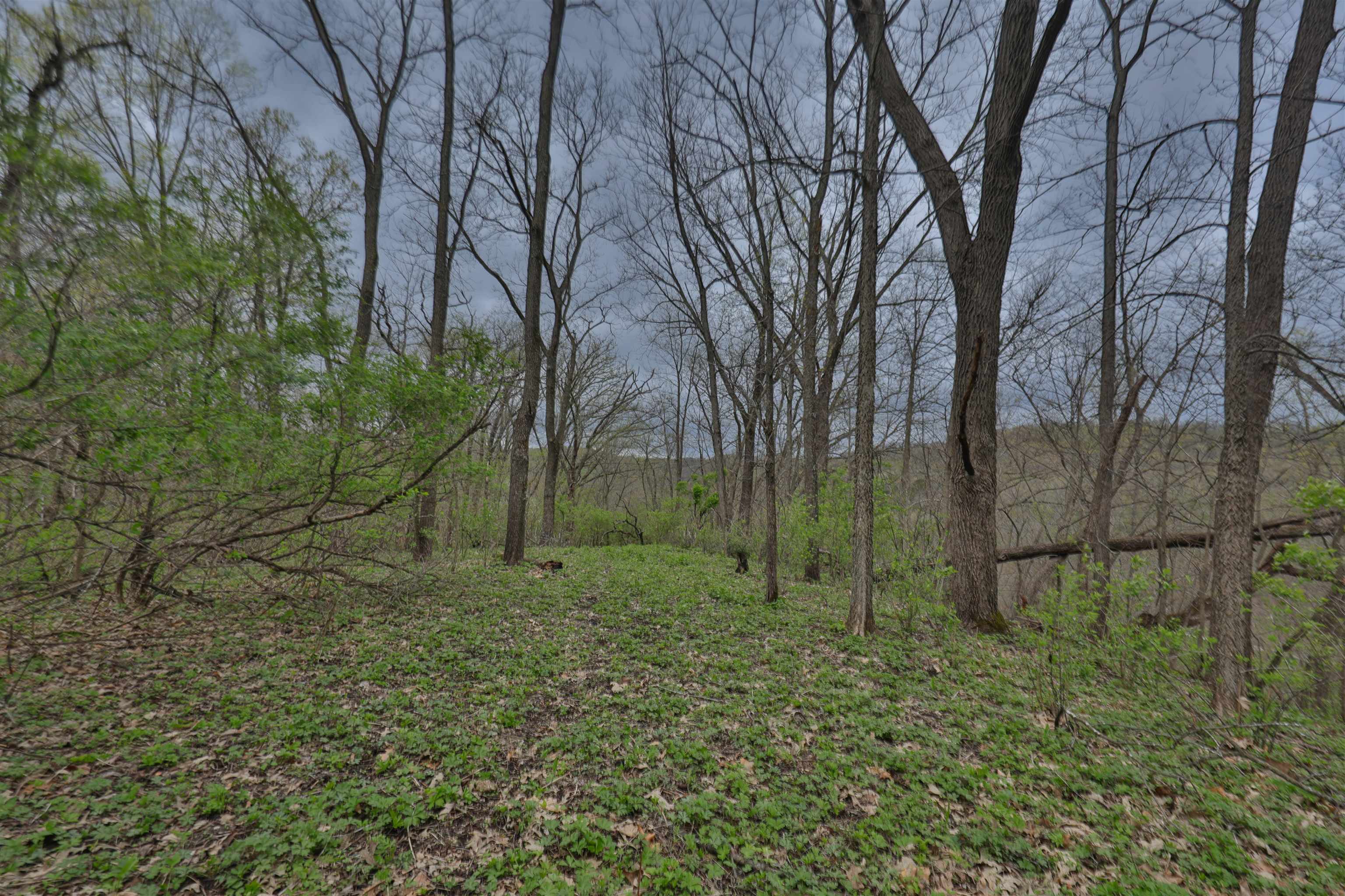 000 Rhein Hollow Road