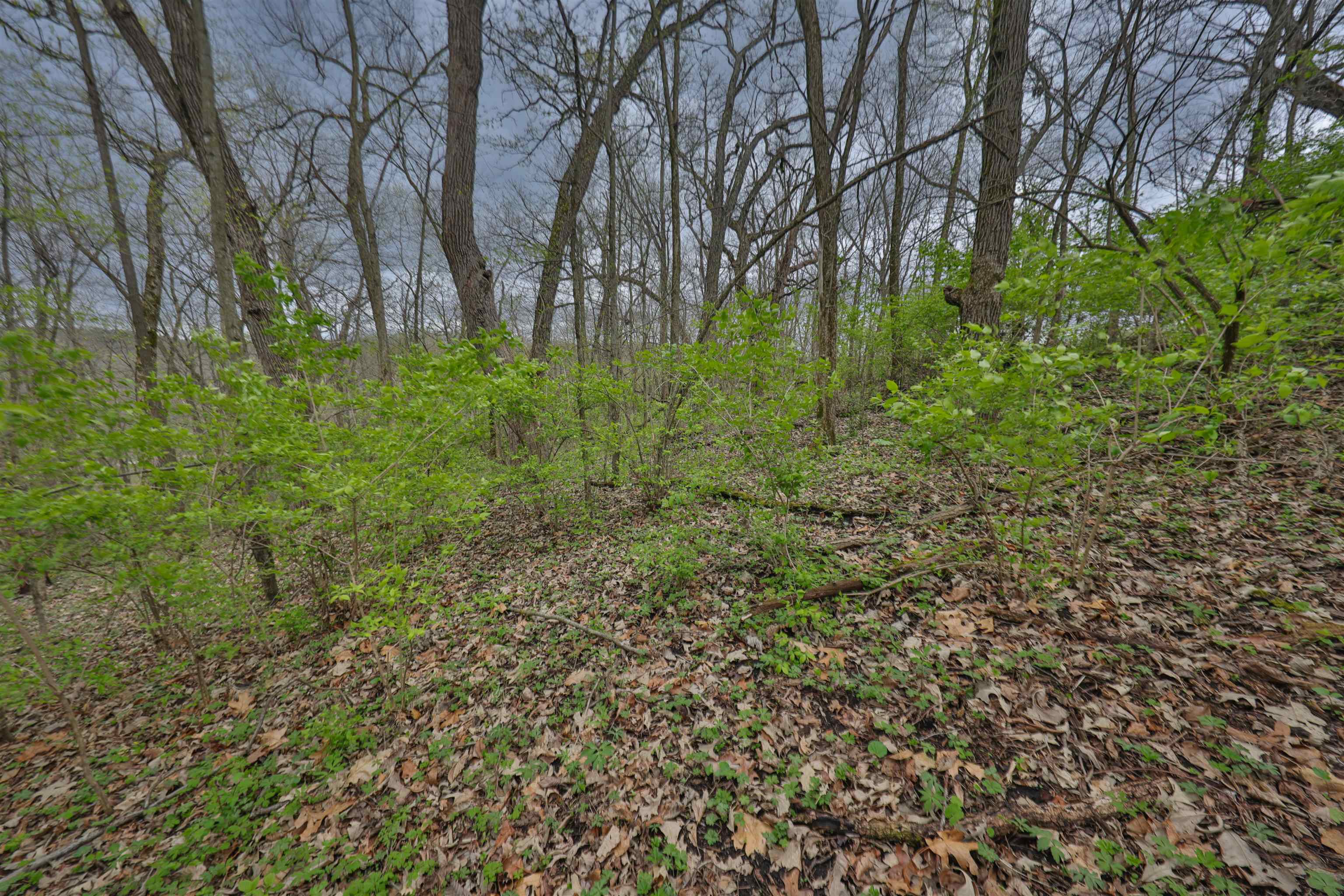000 Rhein Hollow Road