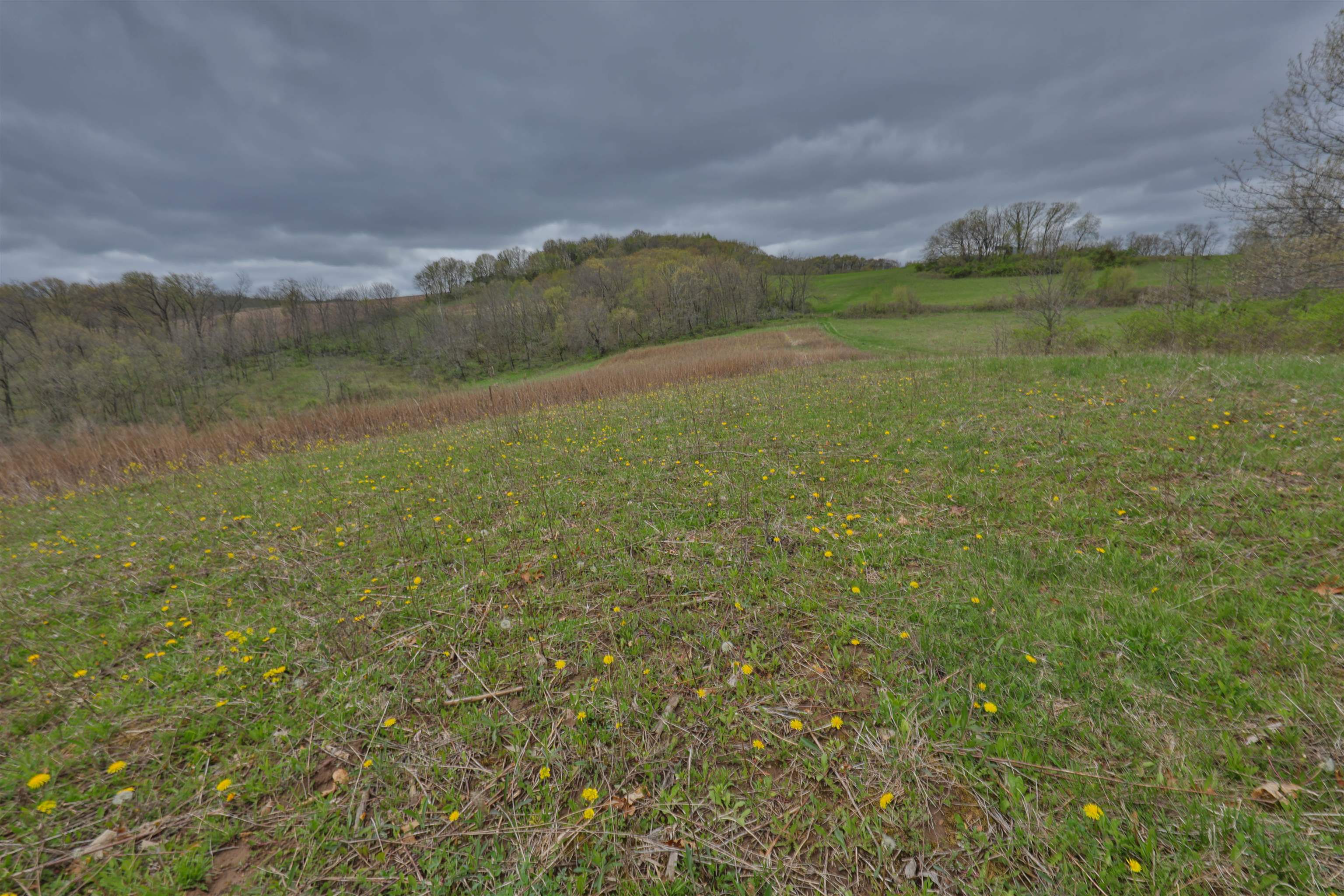 000 Rhein Hollow Road