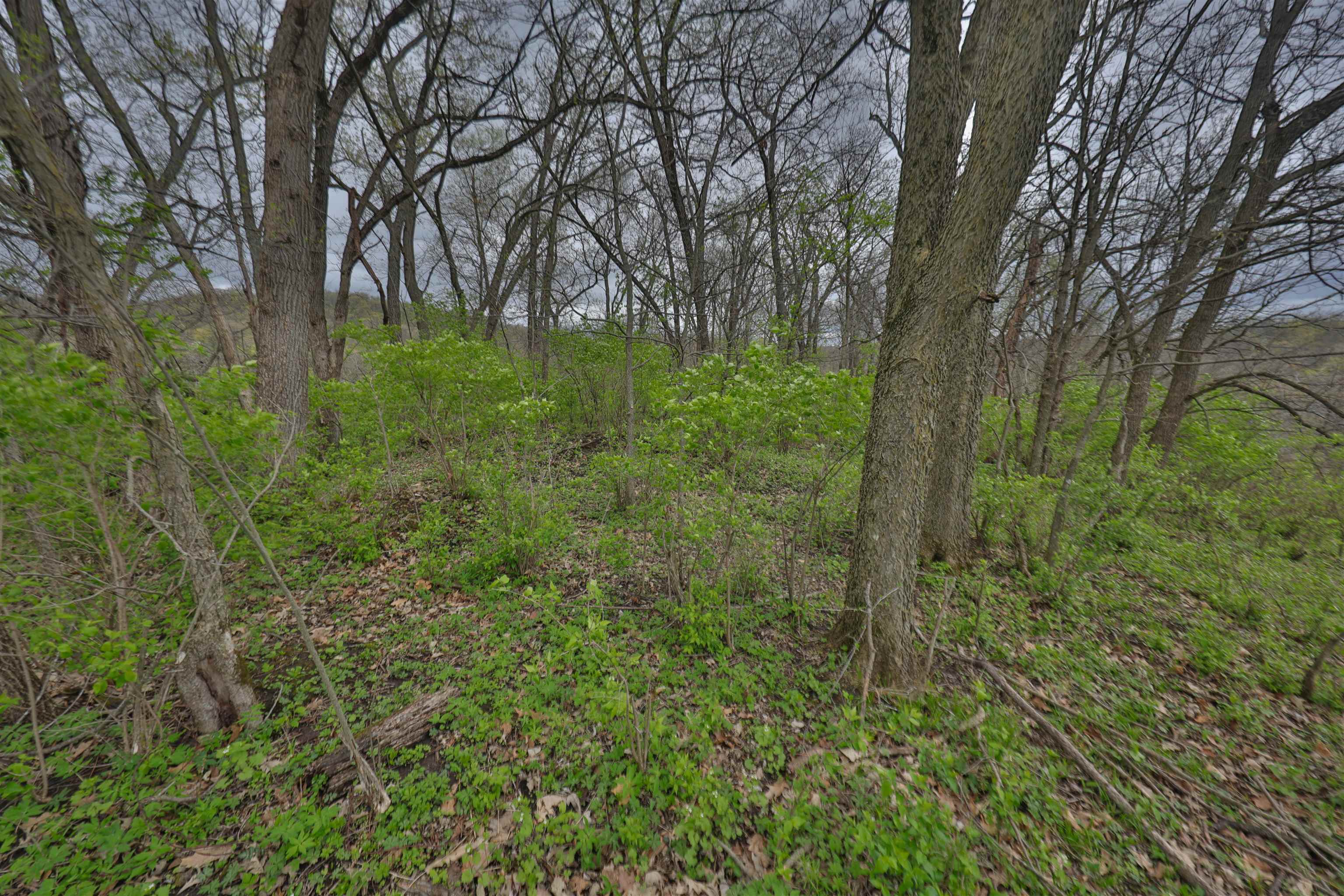 000 Rhein Hollow Road
