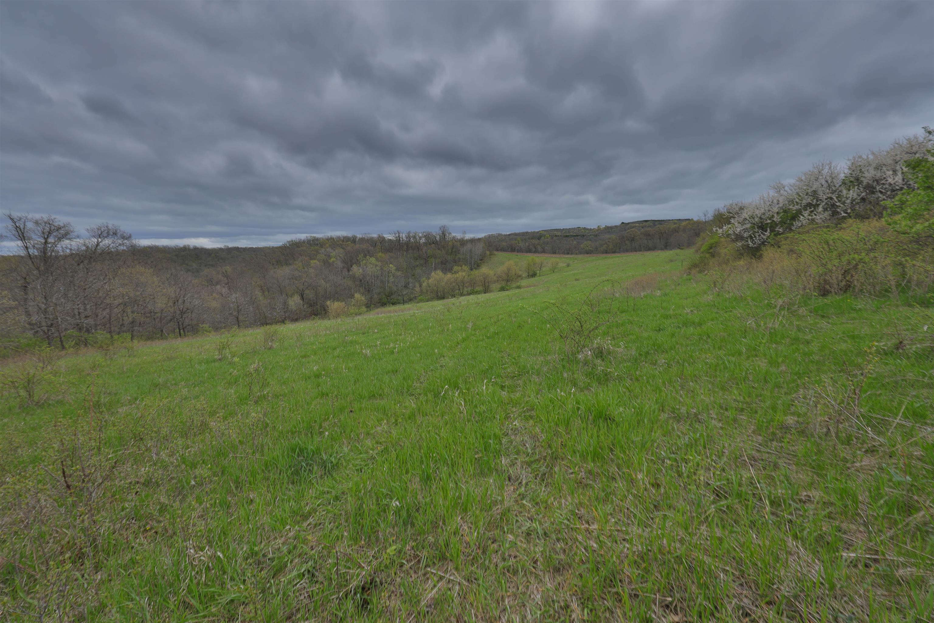 000 Rhein Hollow Road