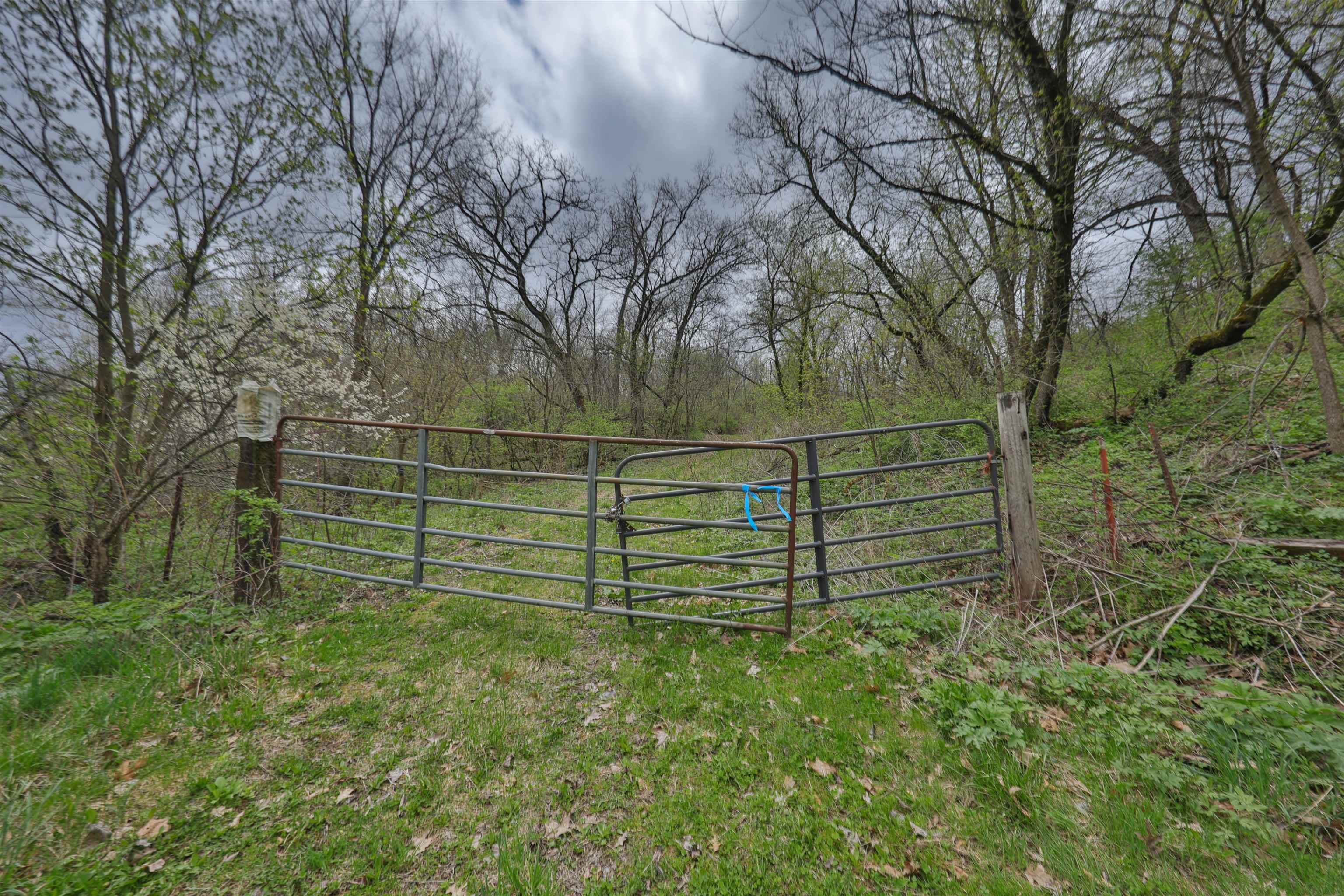 000 Rhein Hollow Road
