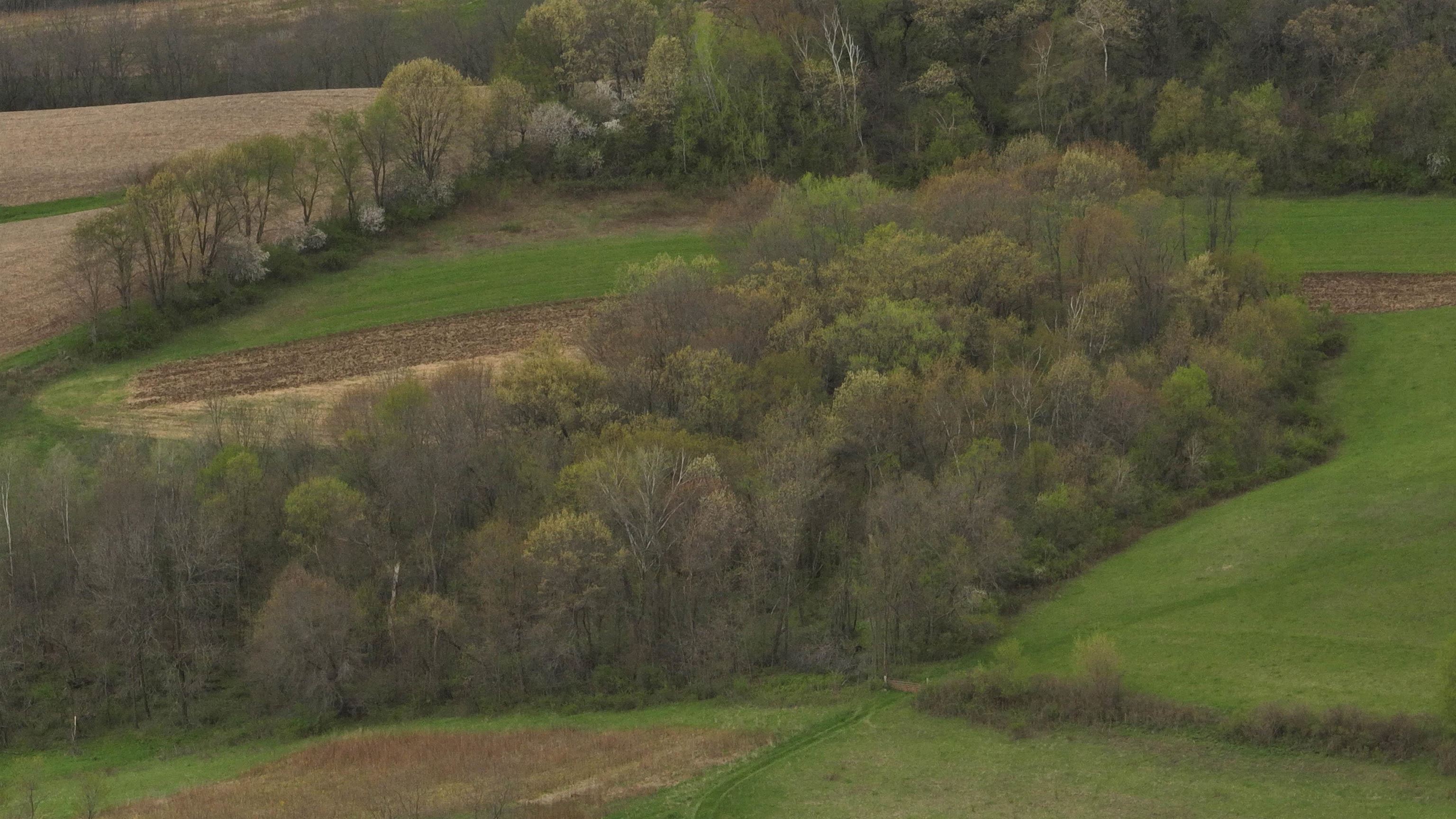 000 Rhein Hollow Road