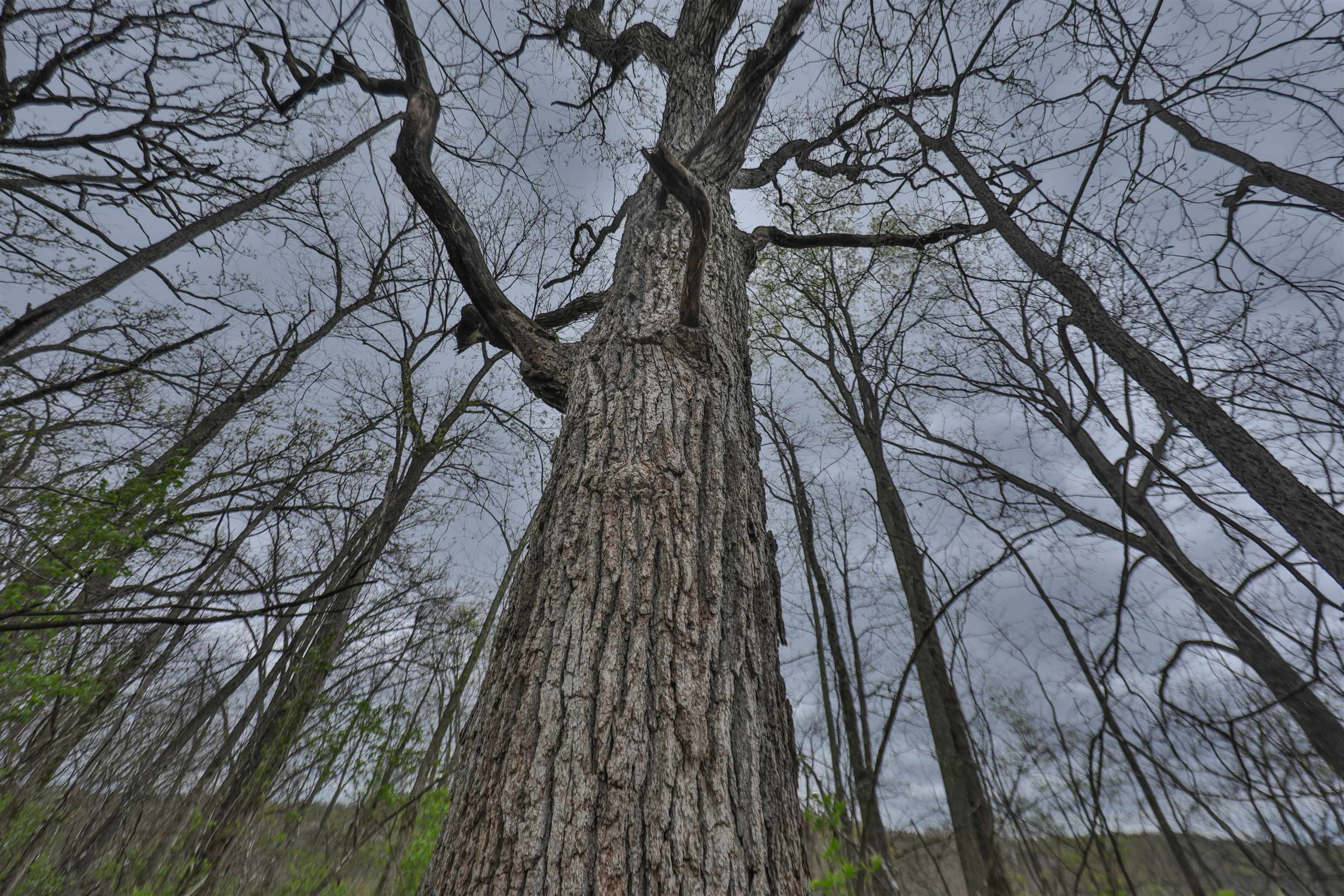 000 Rhein Hollow Road